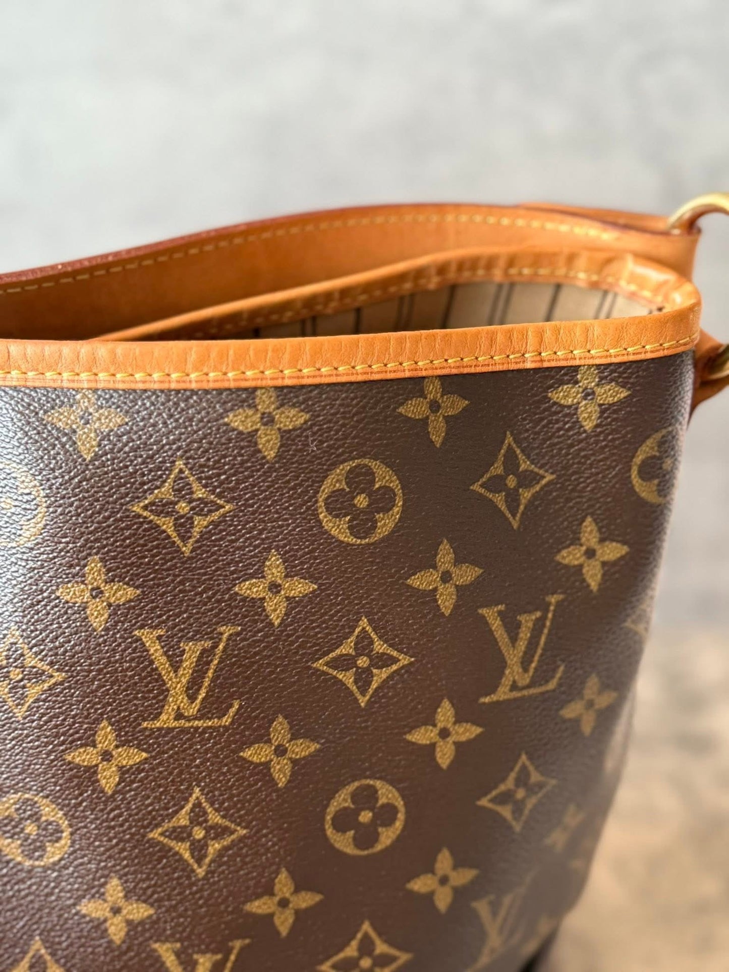 LV Delightful MM Old model