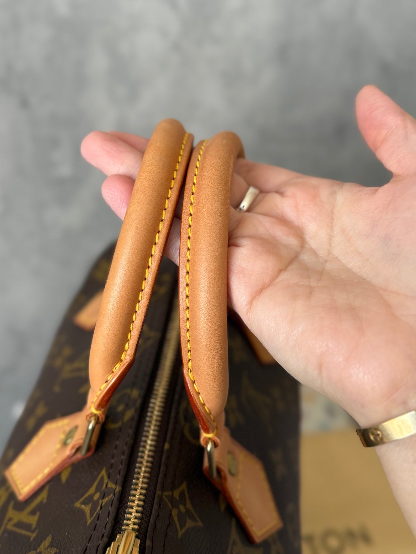 LV Speedy 25 Monogram