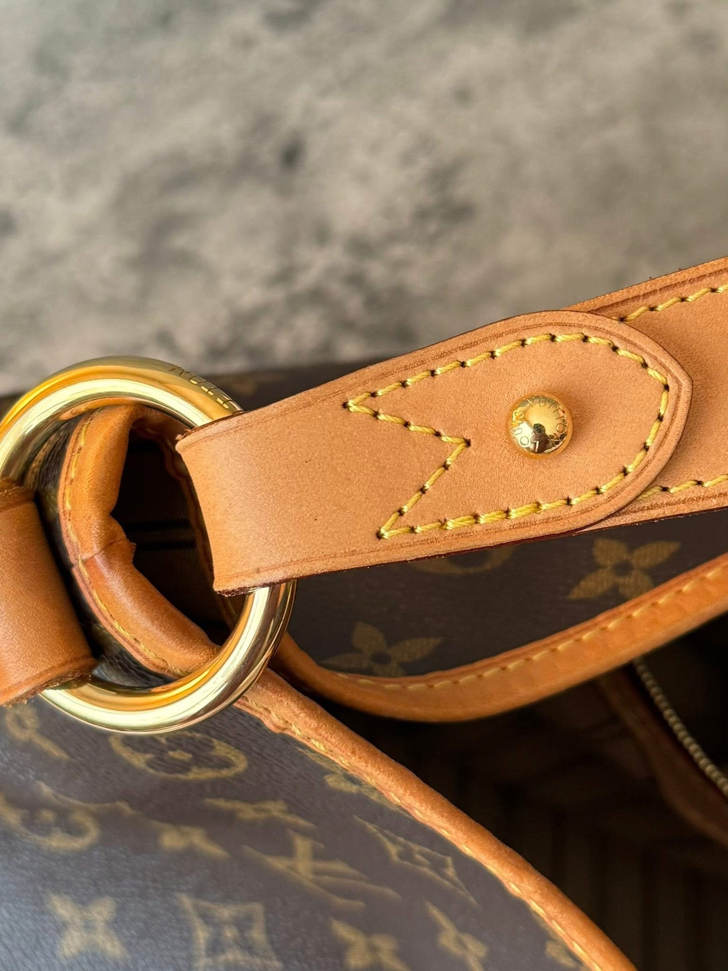 LV Delightful MM Old model