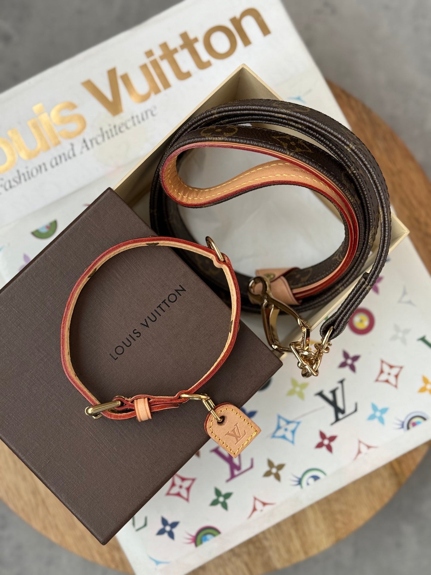 LV Collar PM with Monogram Leash