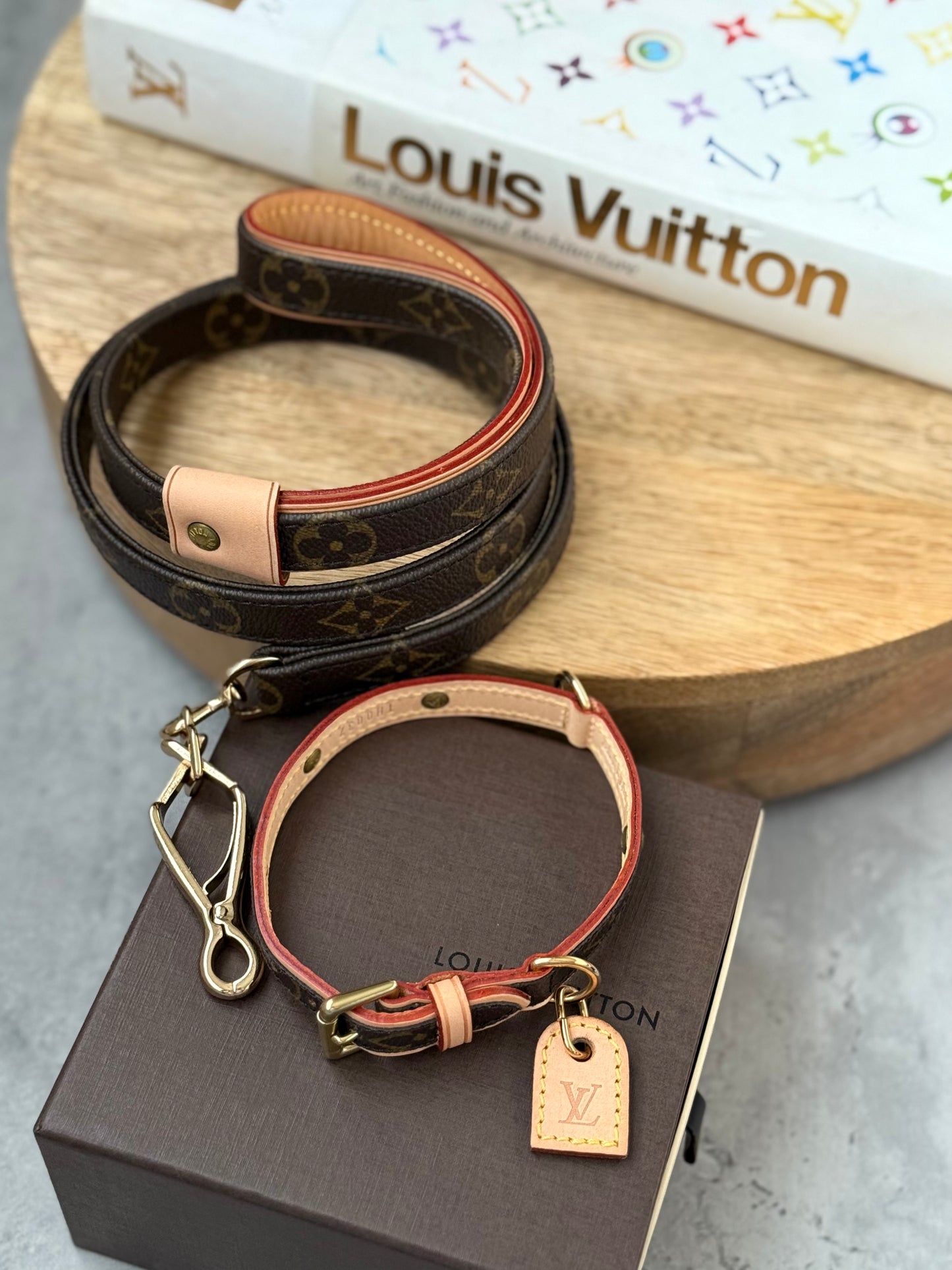 LV Collar PM with Monogram Leash