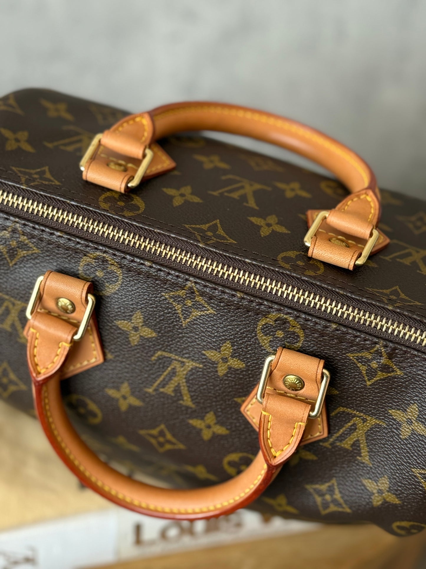 LV Speedy 25 Monogram