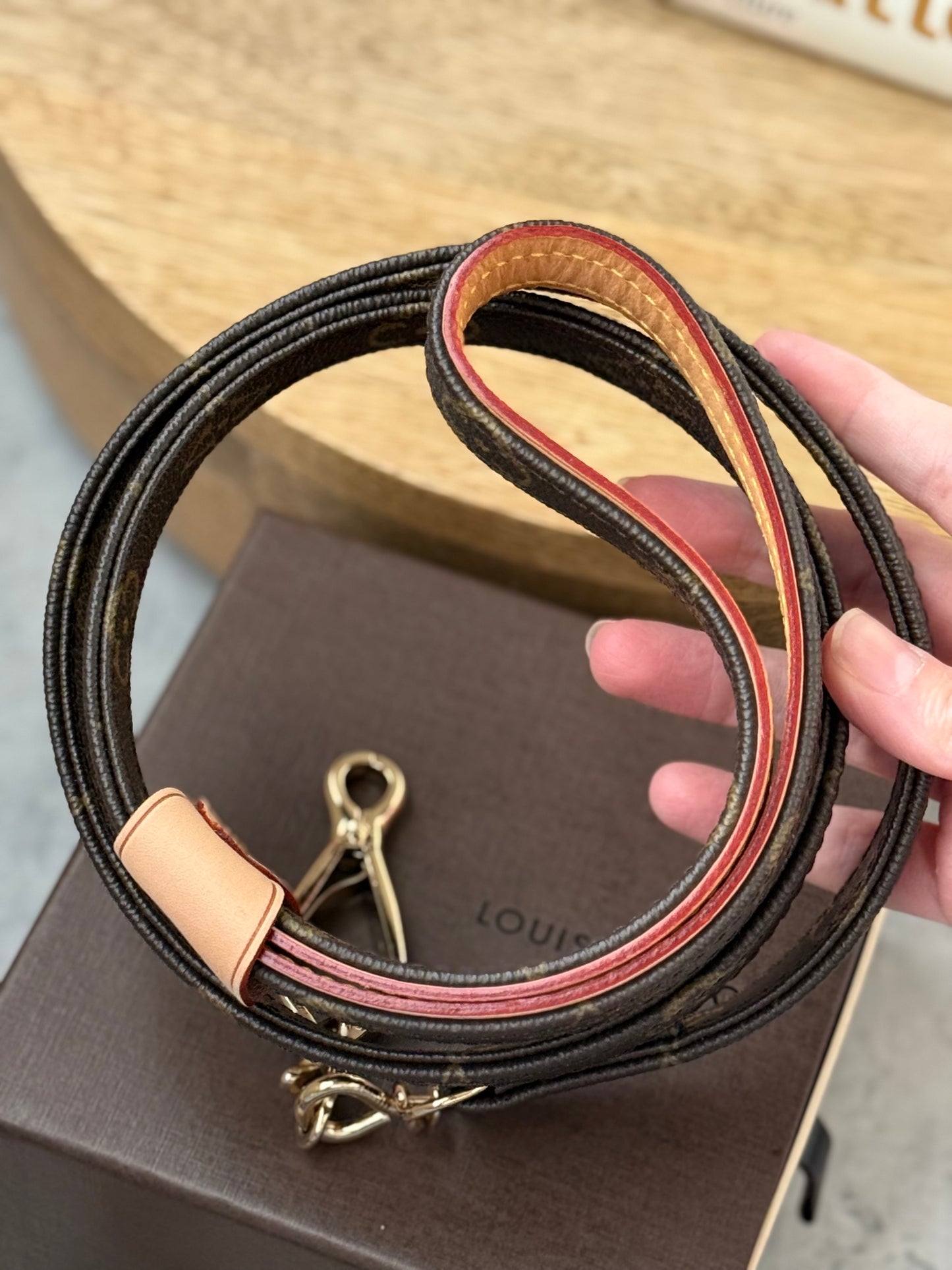 LV Collar PM with Monogram Leash