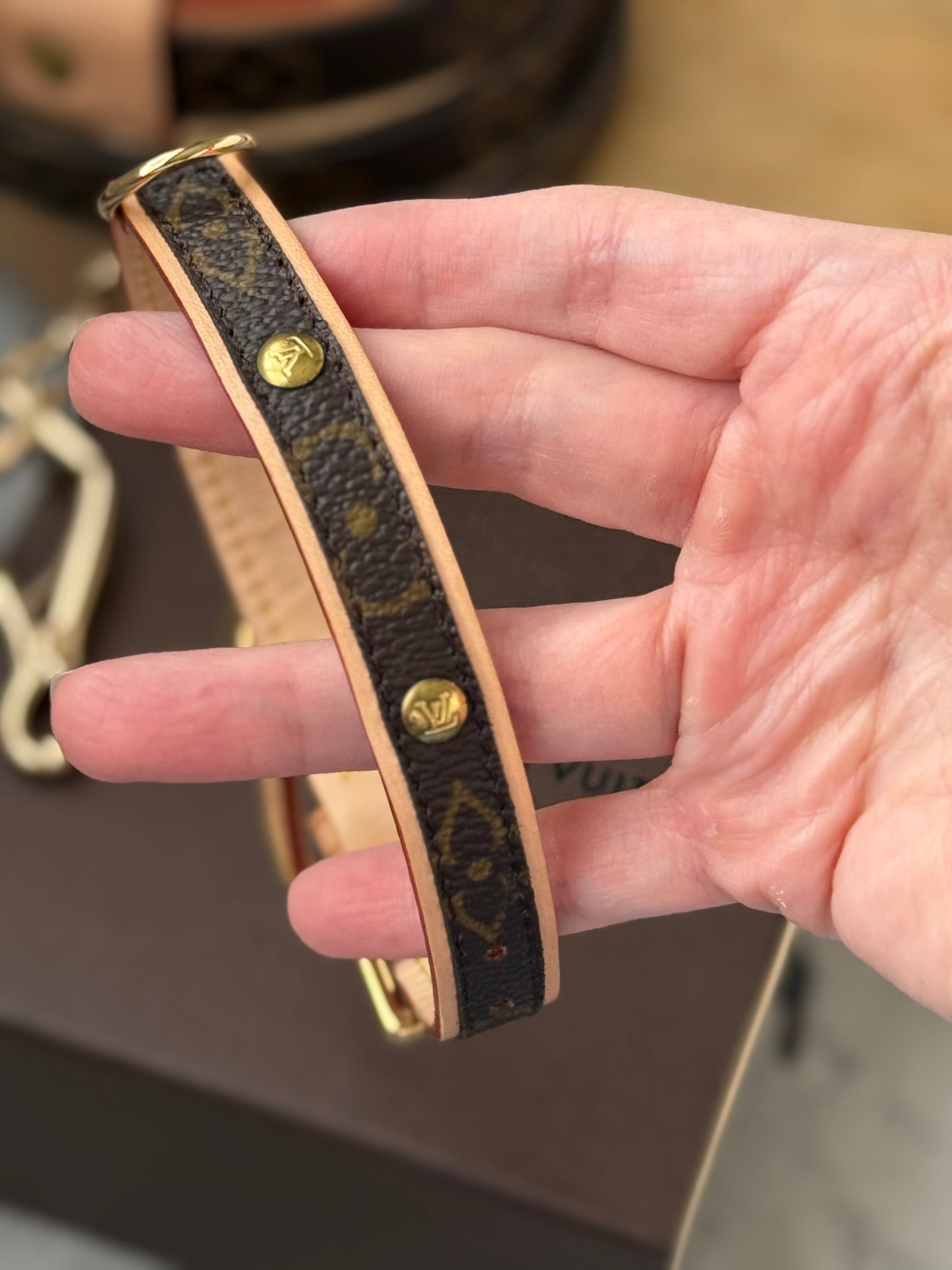 LV Collar PM with Monogram Leash