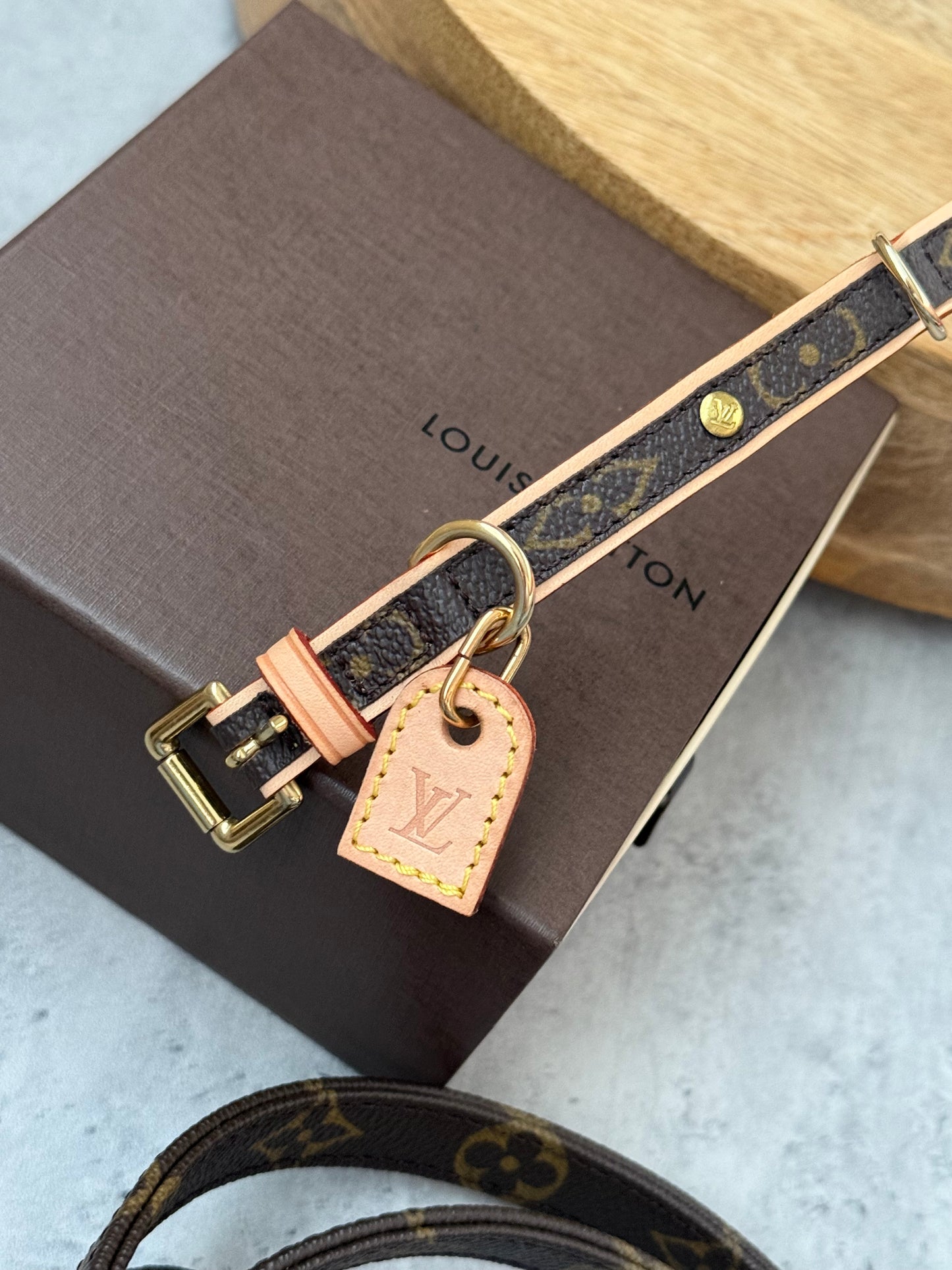 LV Collar PM with Monogram Leash