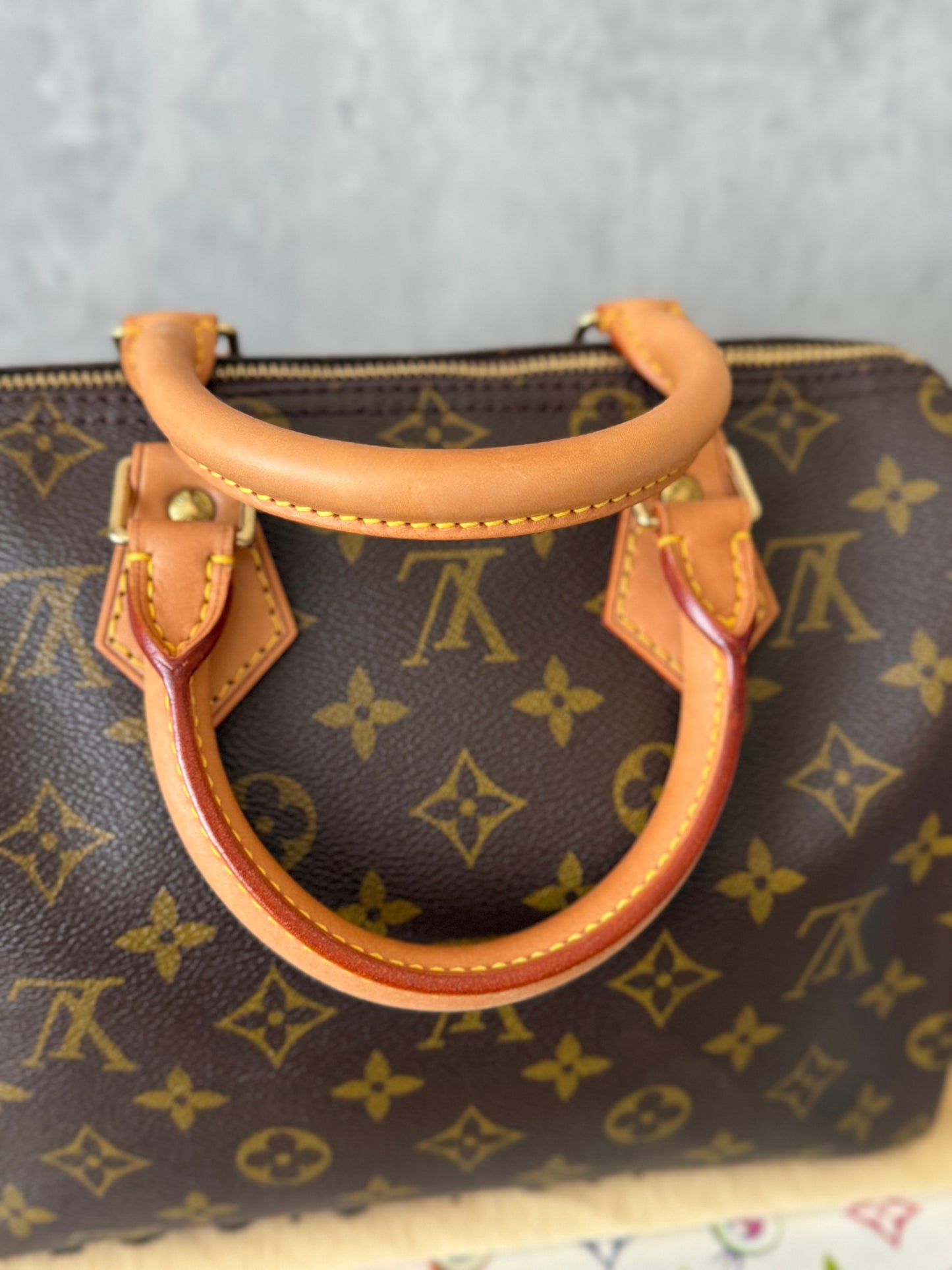 LV Speedy 25 Monogram