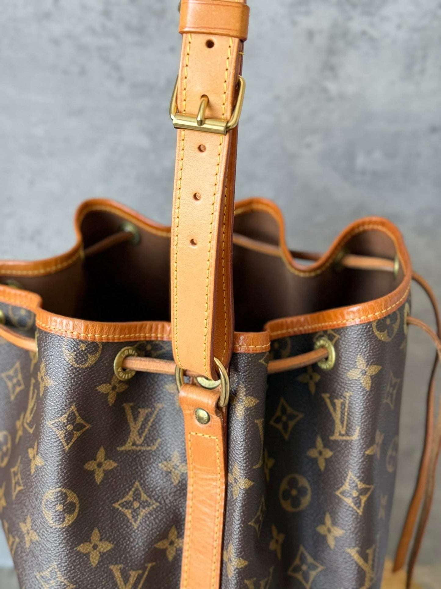LV Noe GM Monogram