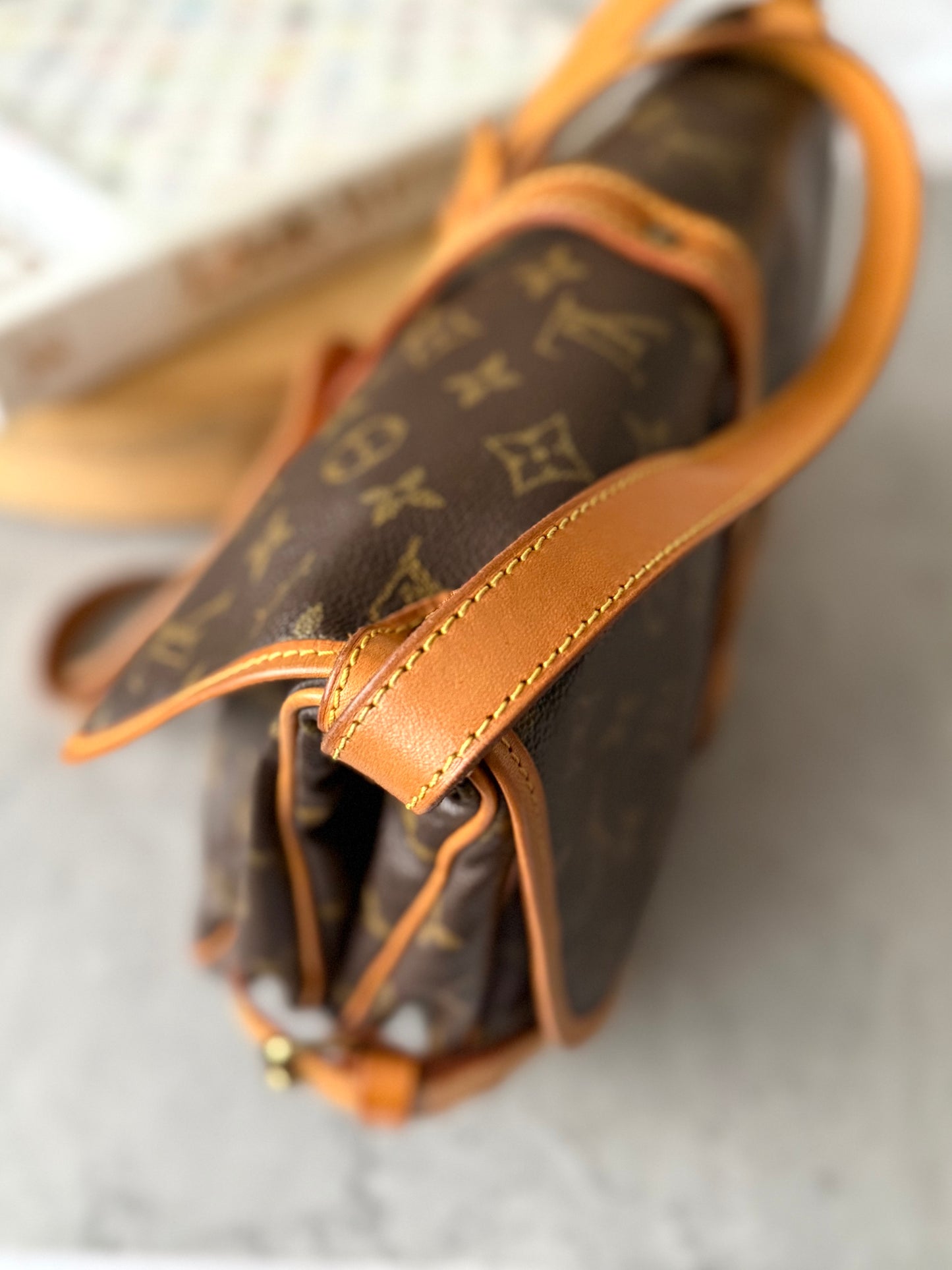 LV Saumur 30 Crossbody