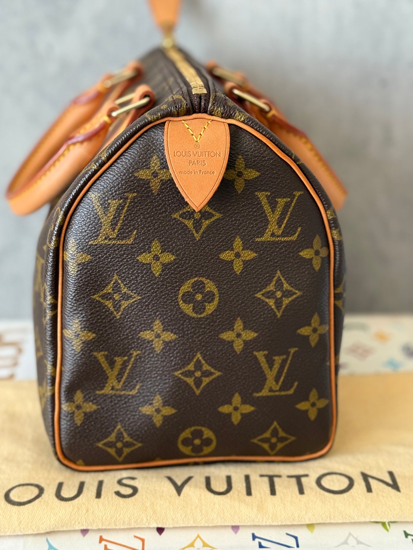 LV Speedy 25 Monogram