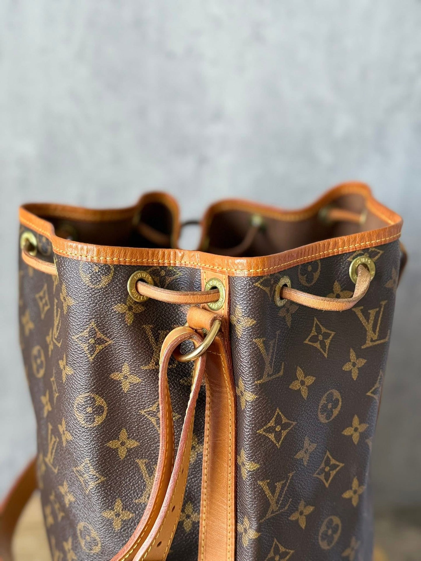 LV Noe GM Monogram