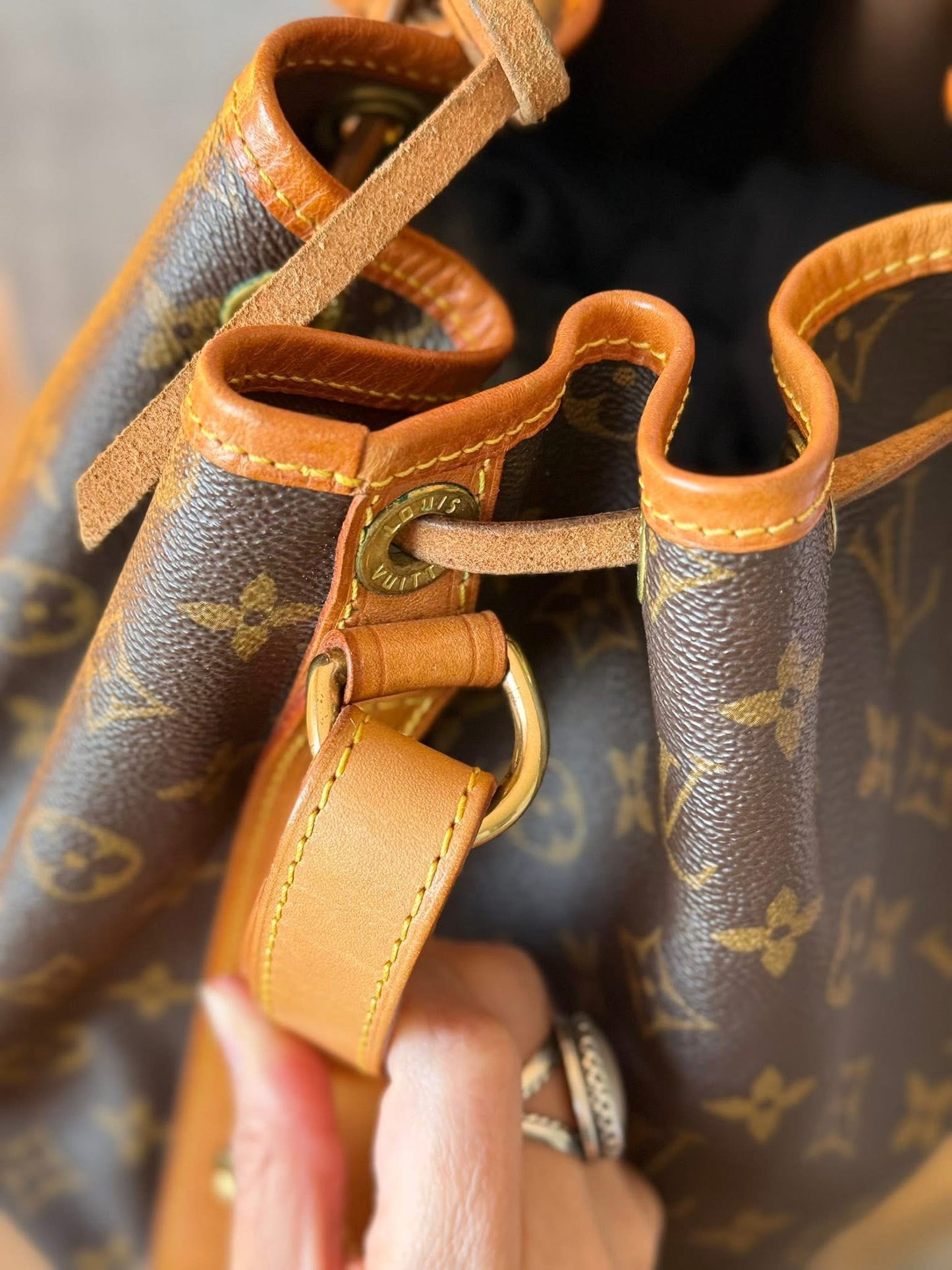 LV Noe GM Monogram