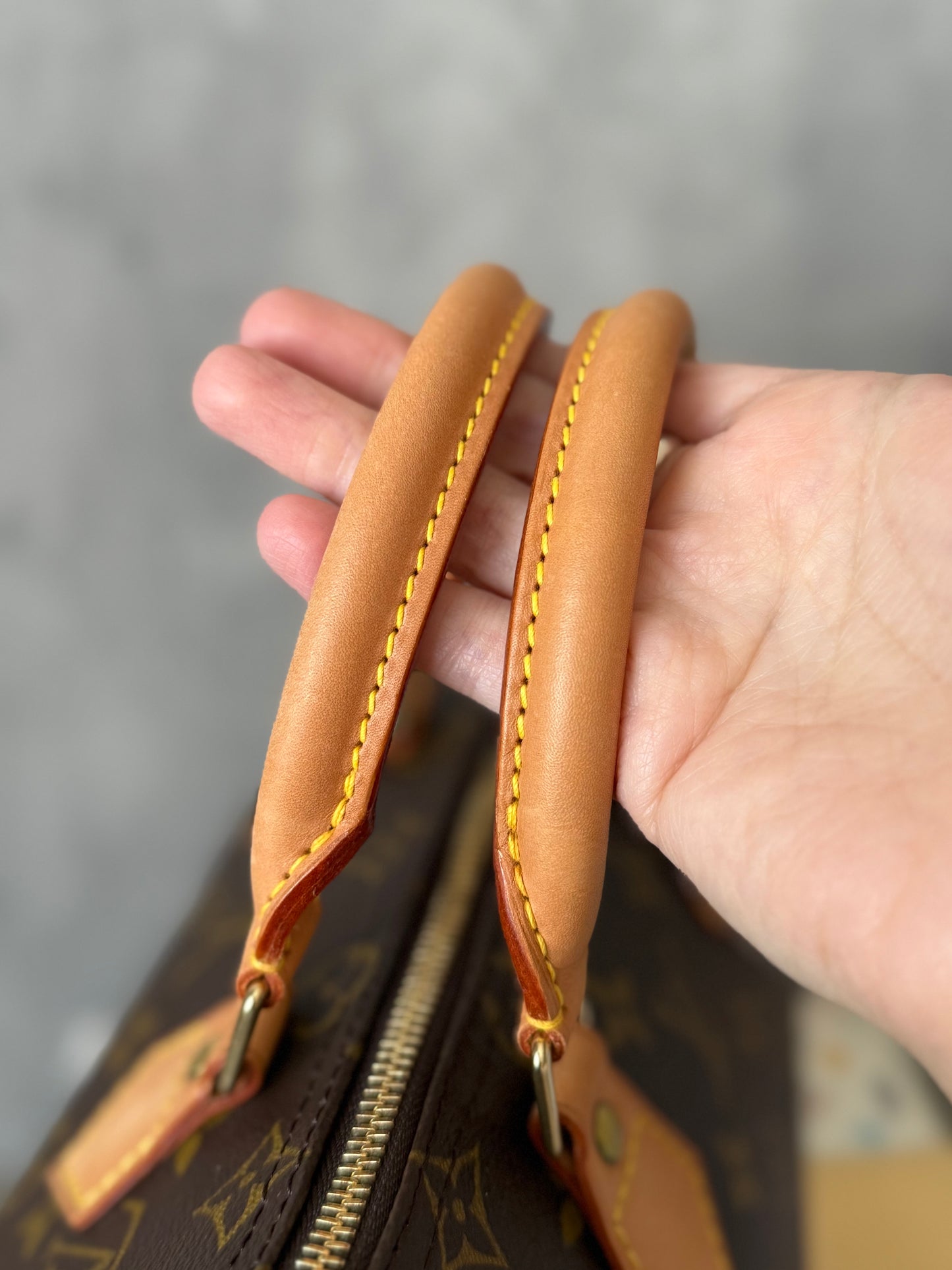 LV Speedy 25 Monogram