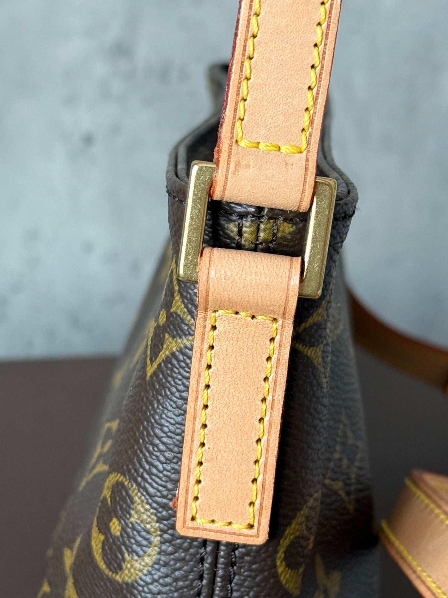 LV Trotteur Crossbody