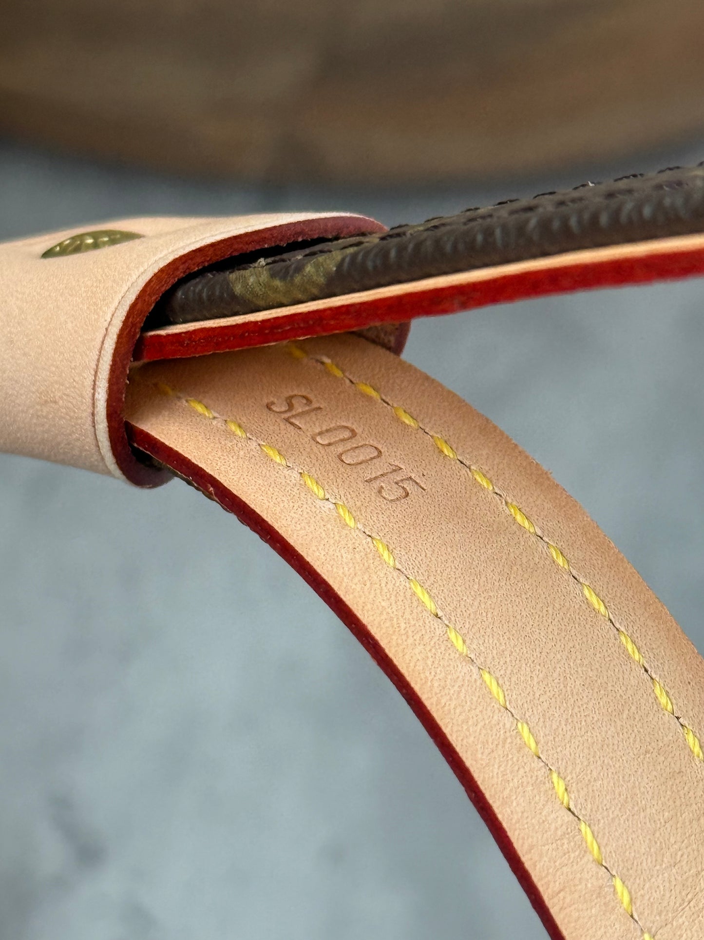 LV Collar PM with Monogram Leash