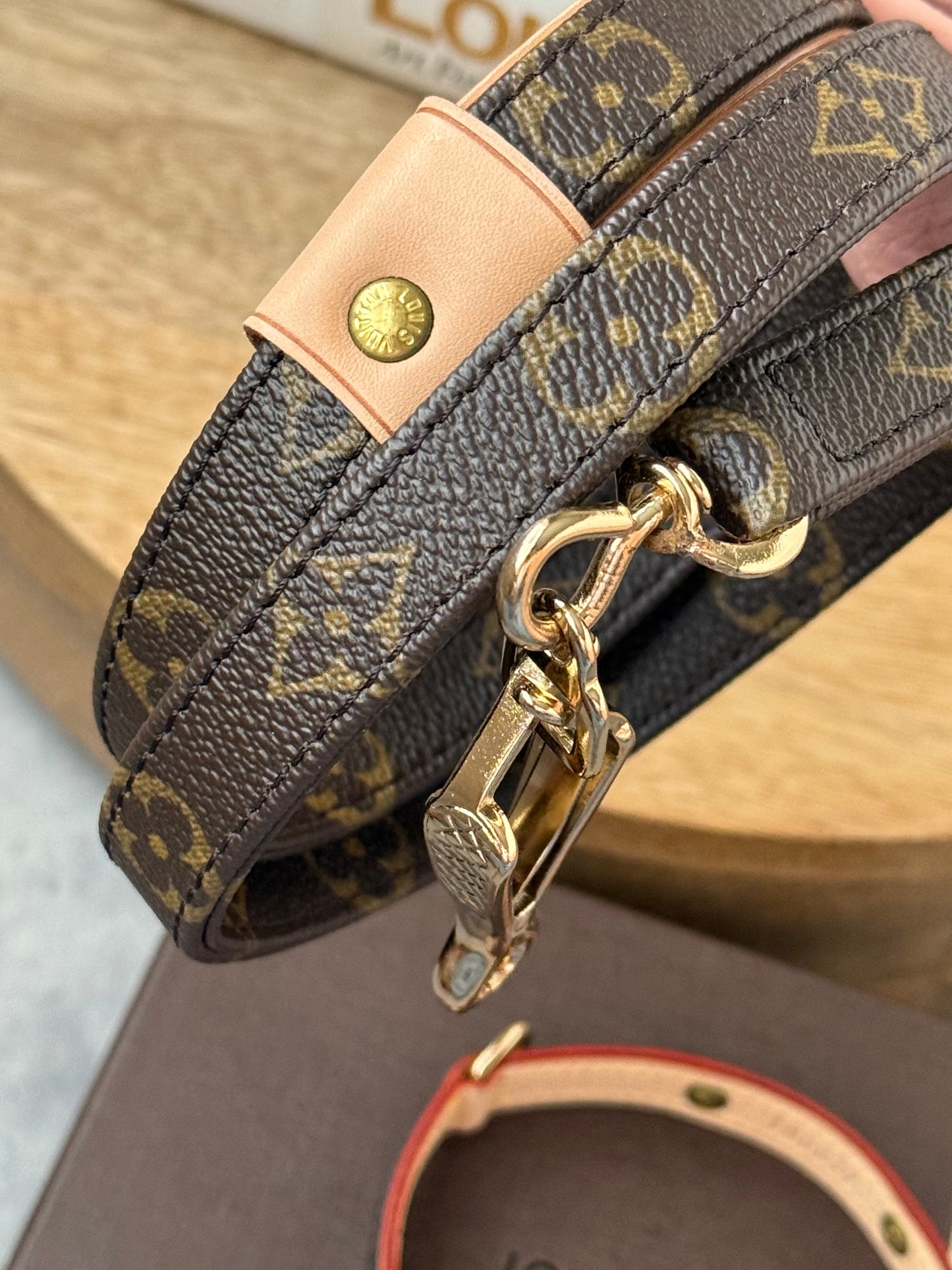 LV Collar PM with Monogram Leash
