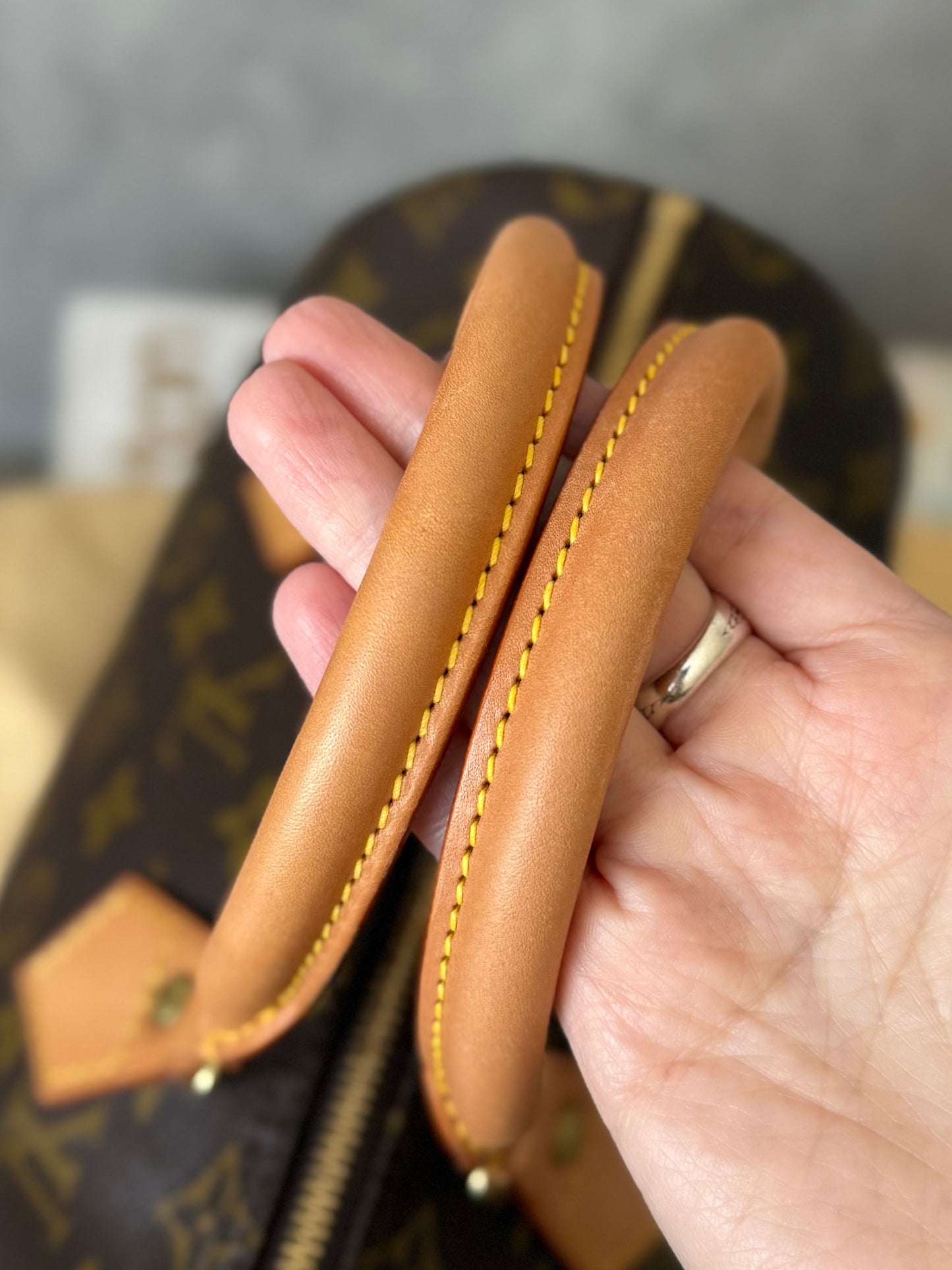 LV Speedy 25 Monogram