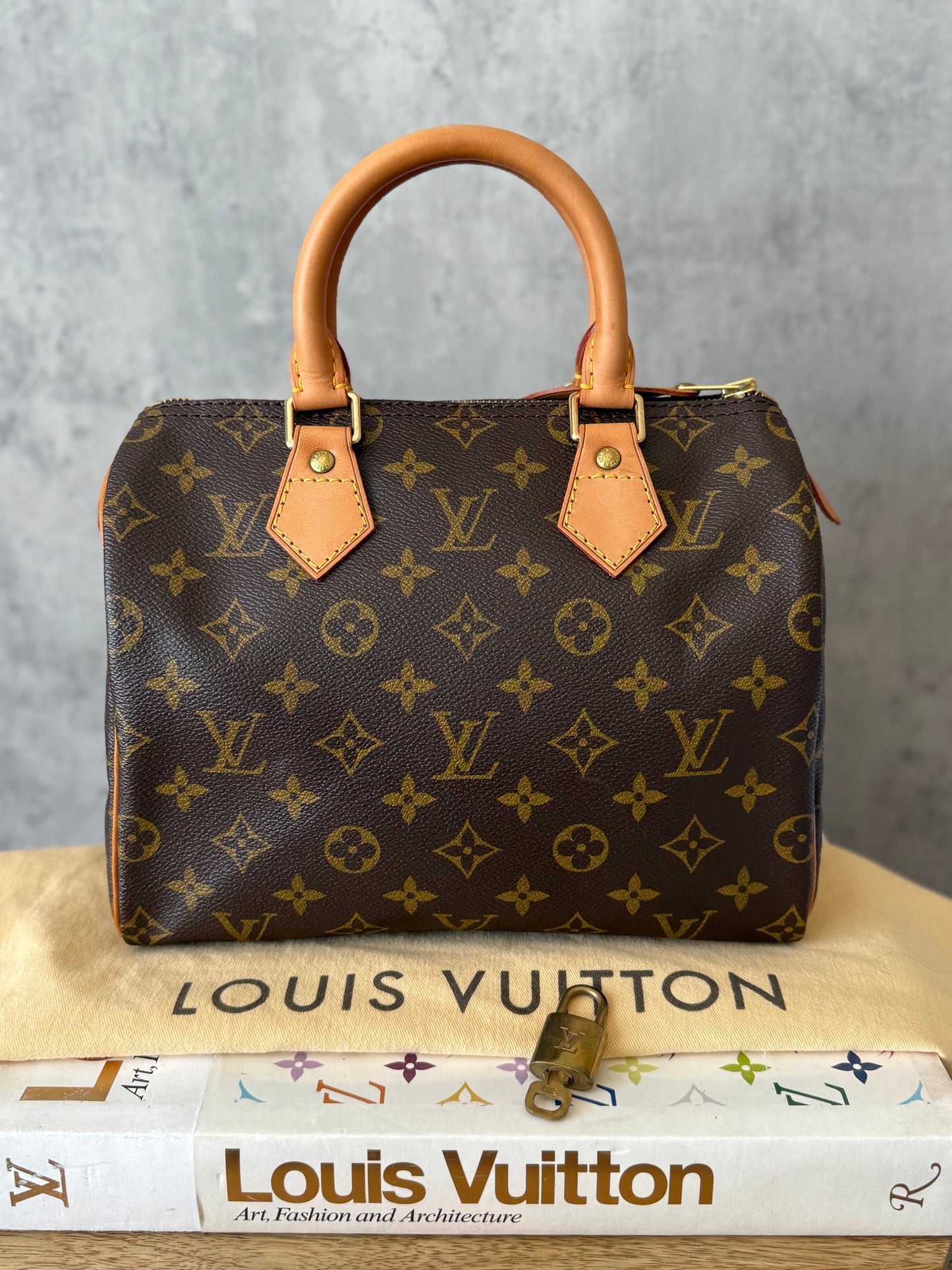 LV Speedy 25 Monogram