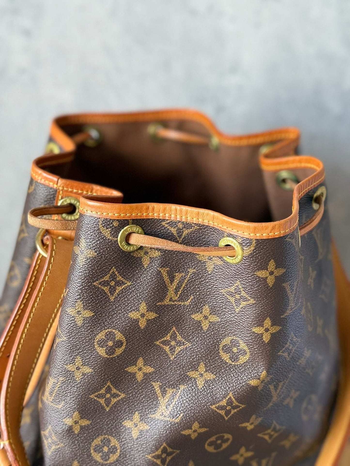 LV Noe GM Monogram
