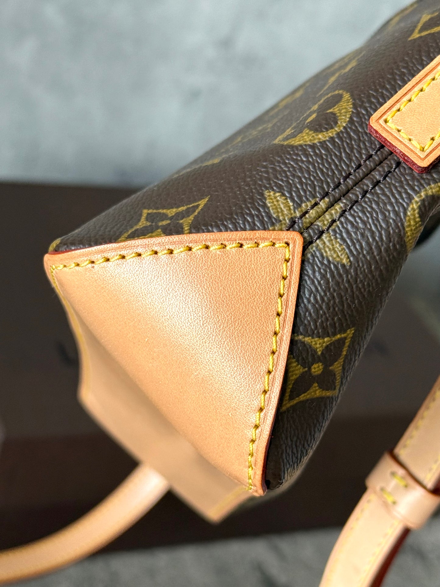 LV Trotteur Crossbody