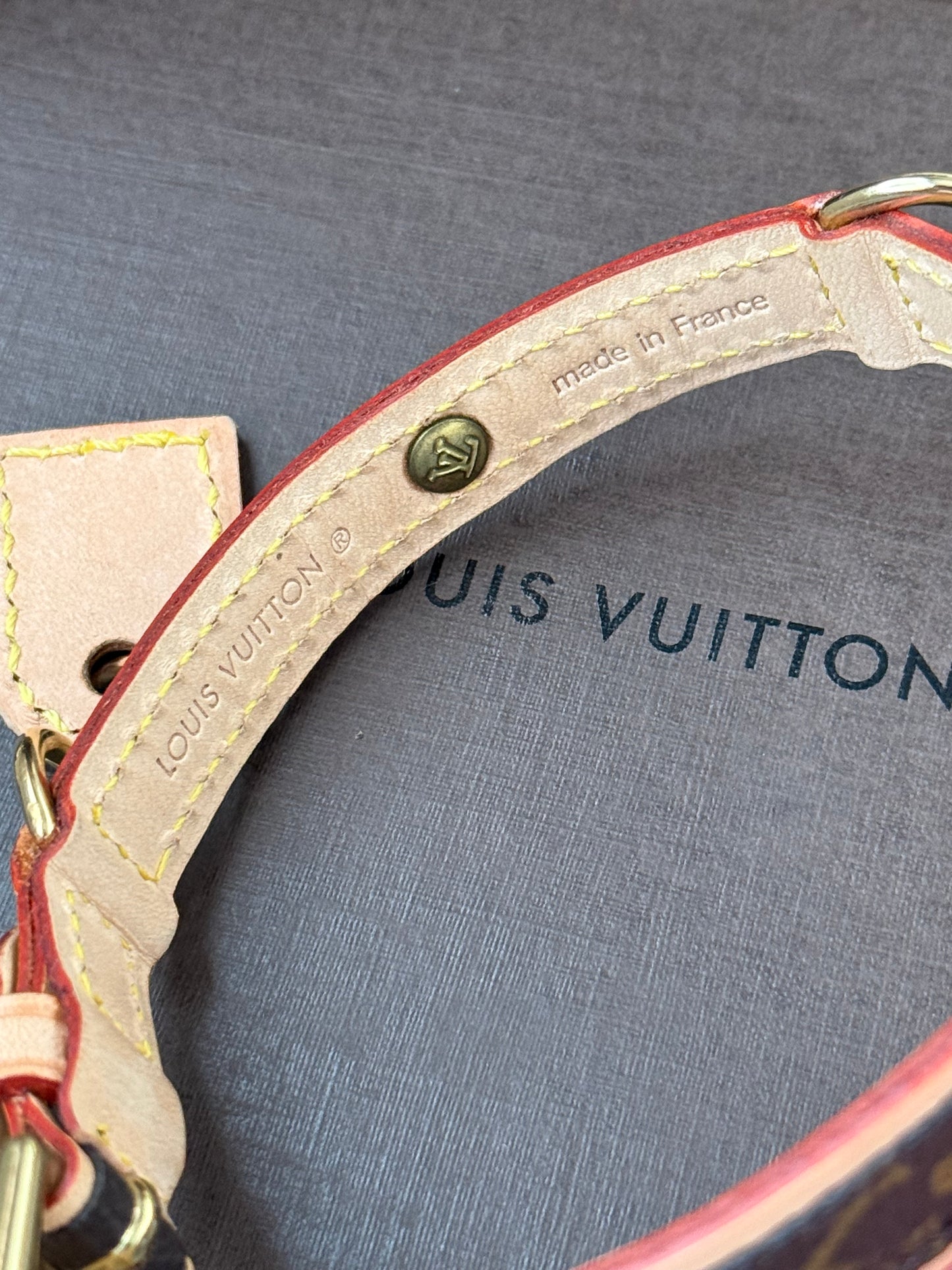 LV Collar PM with Monogram Leash