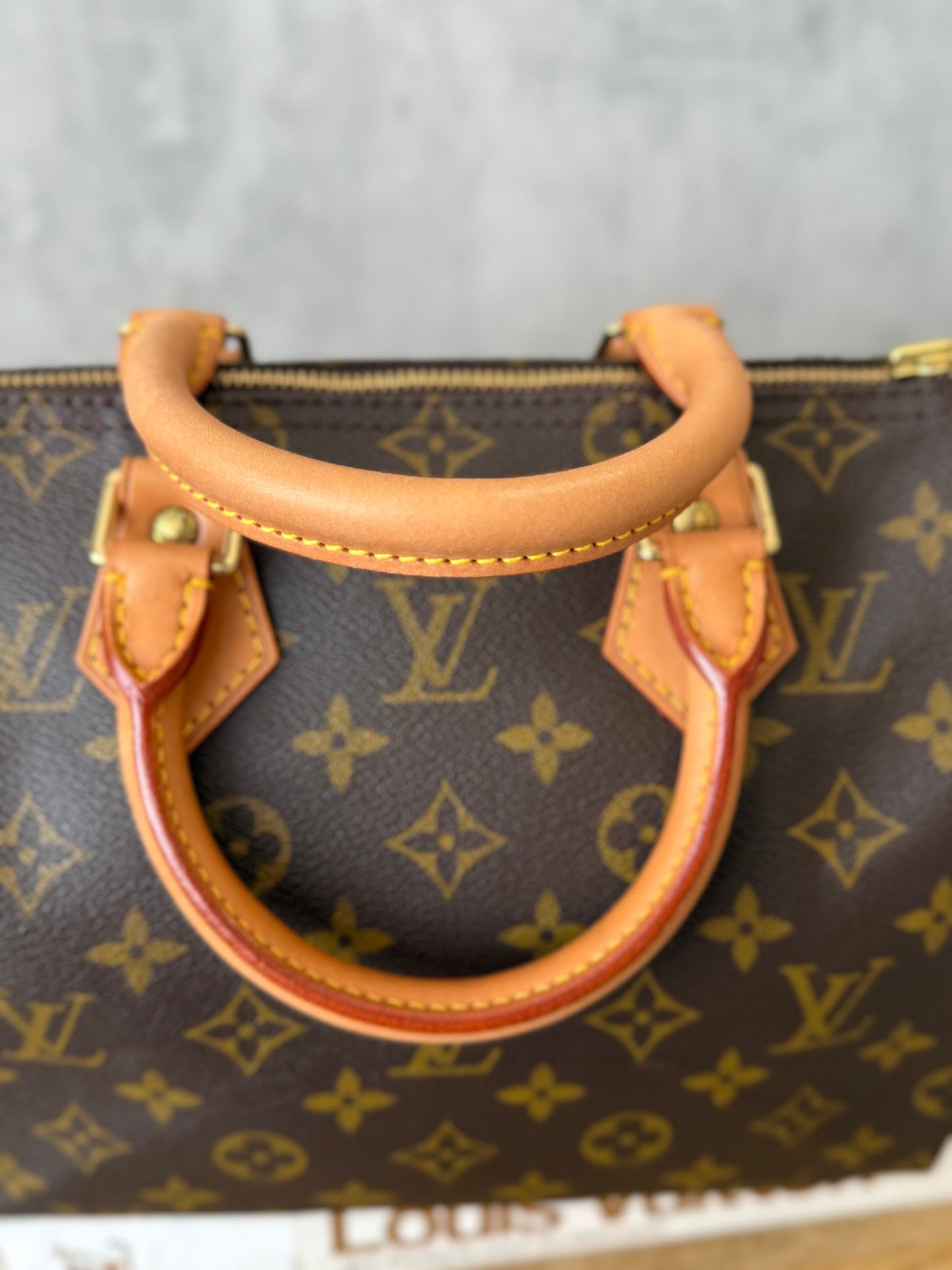 LV Speedy 25 Monogram