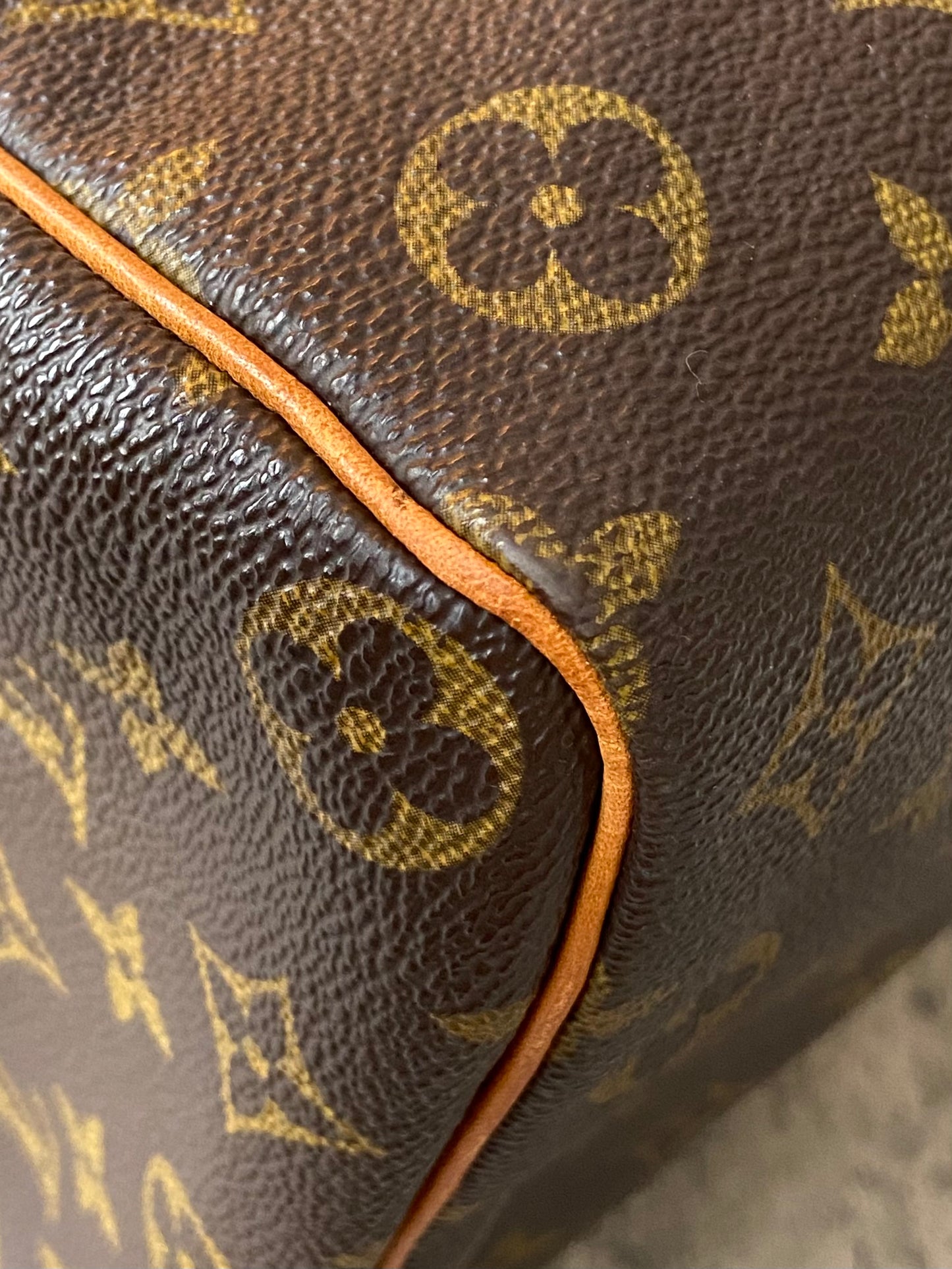 LV Speedy 35 monogram