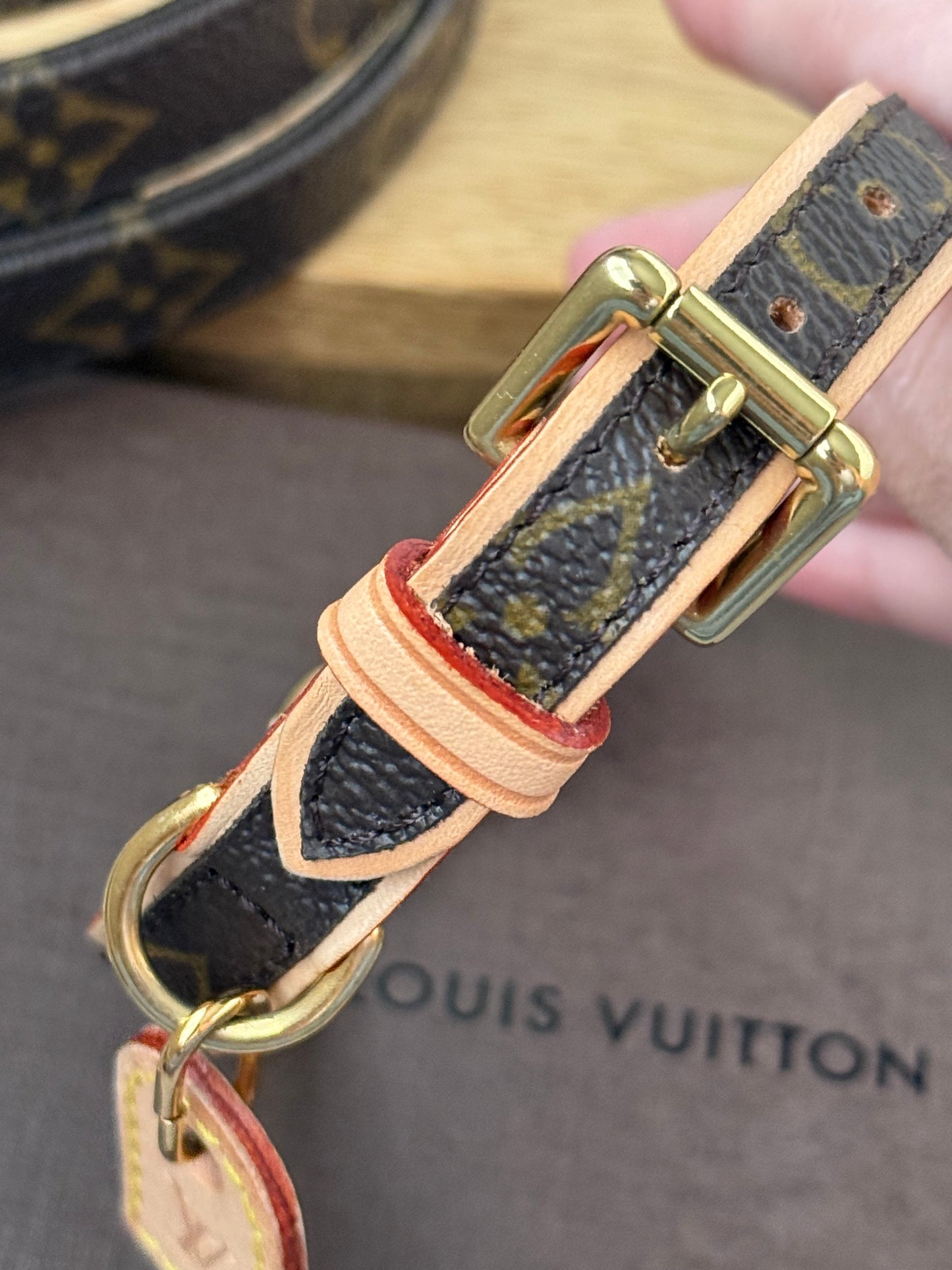 LV Collar PM with Monogram Leash