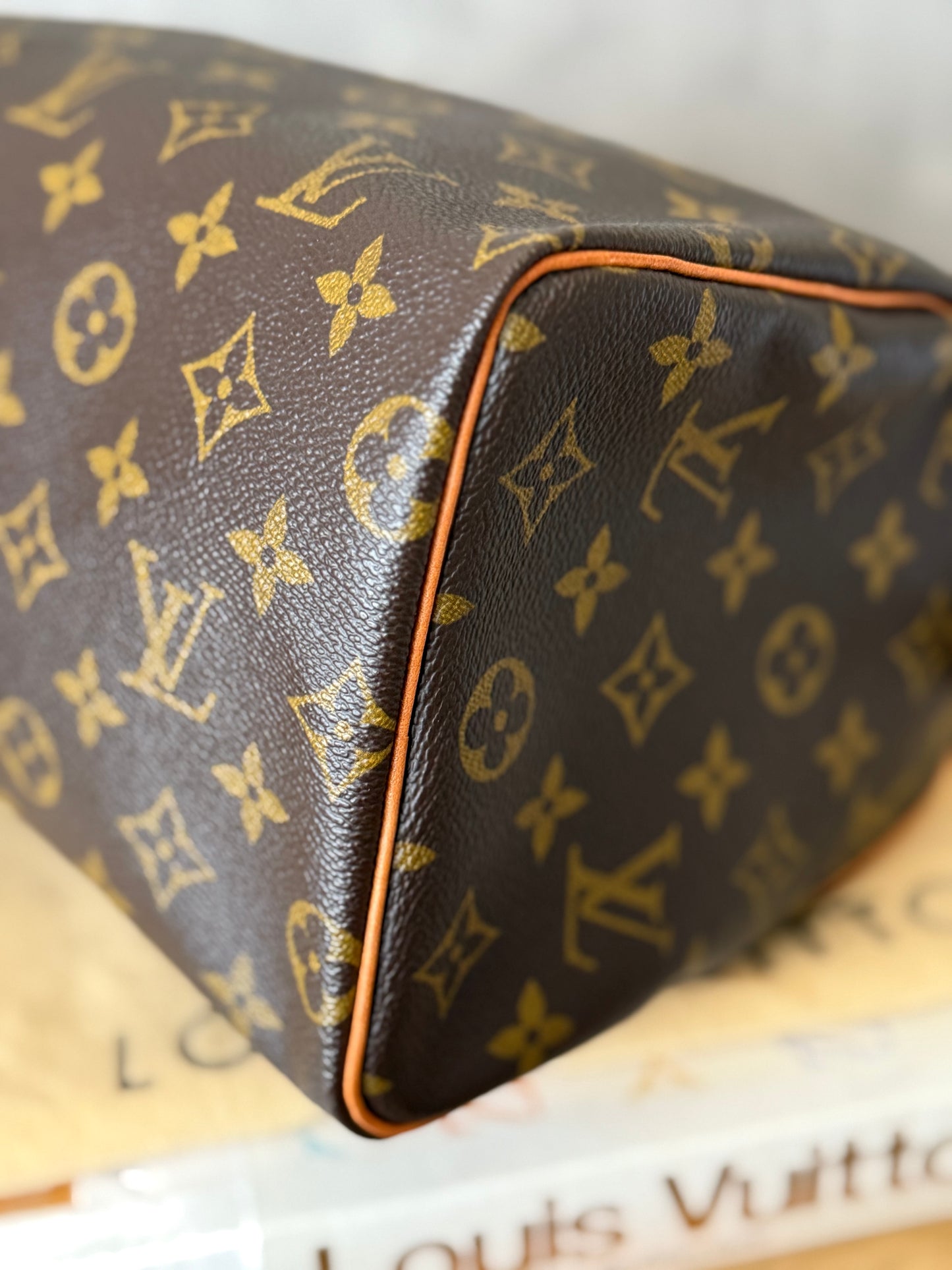 LV Speedy 25 Monogram