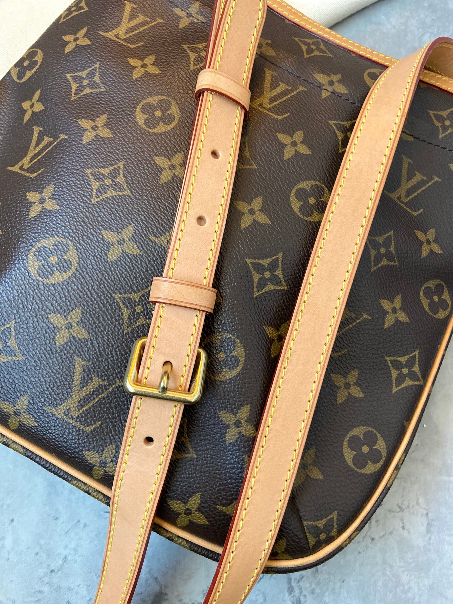 LV Odeon PM Crossbody