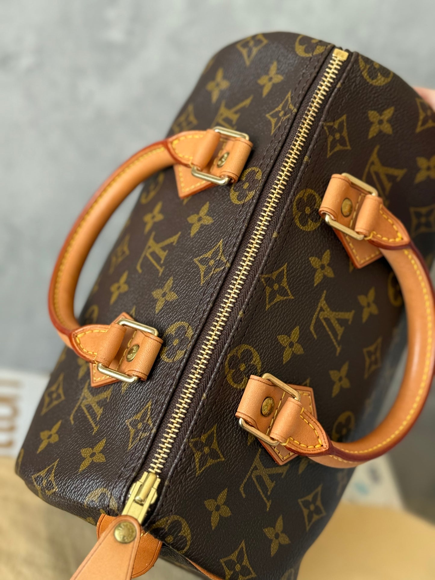 LV Speedy 25 Monogram