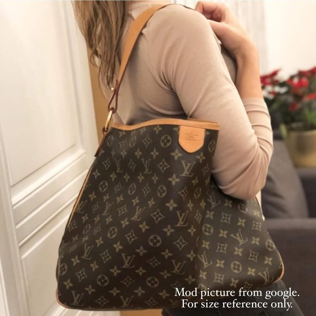 LV Delightful MM Old model