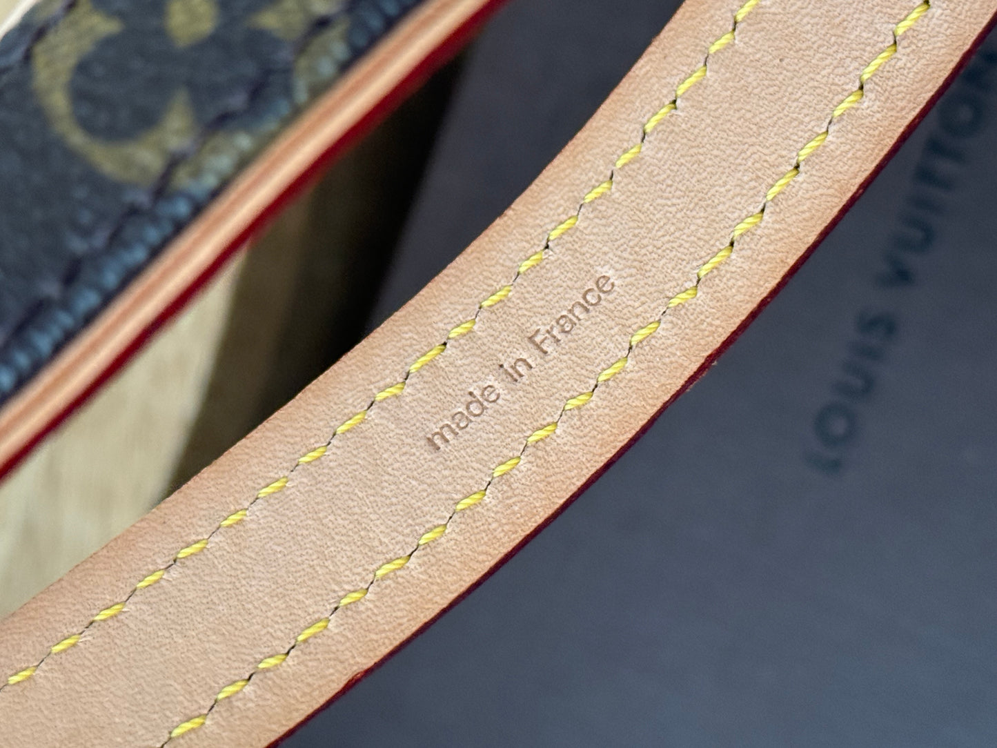 LV Collar PM with Monogram Leash