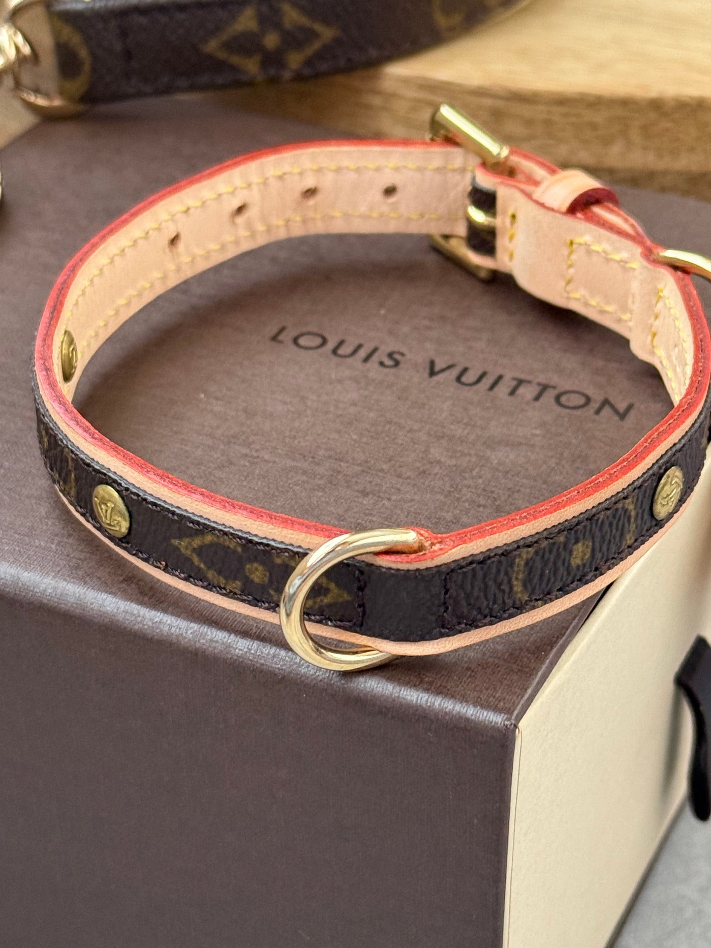 LV Collar PM with Monogram Leash