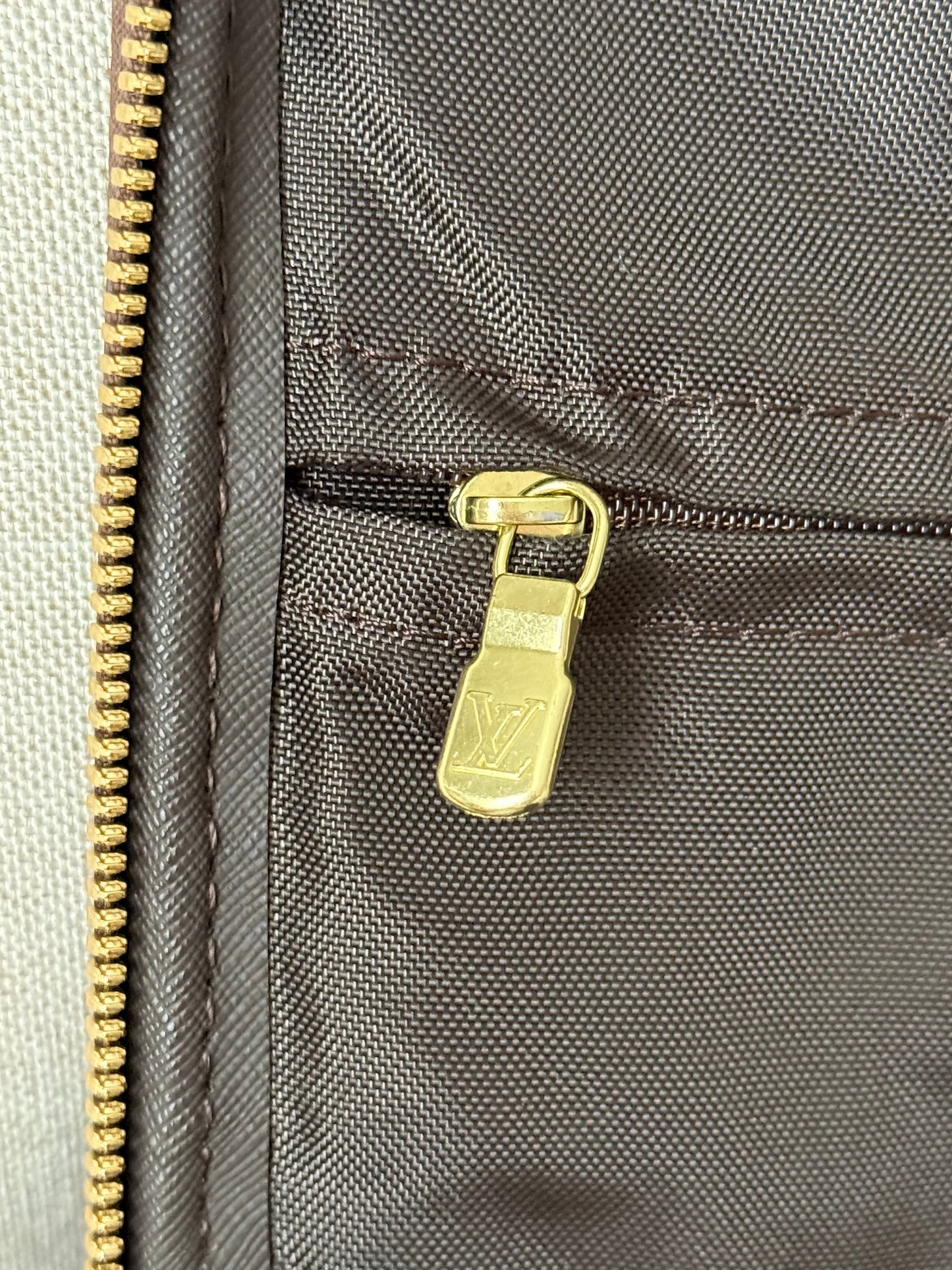 LV Pegase 45 Rolling Luggage