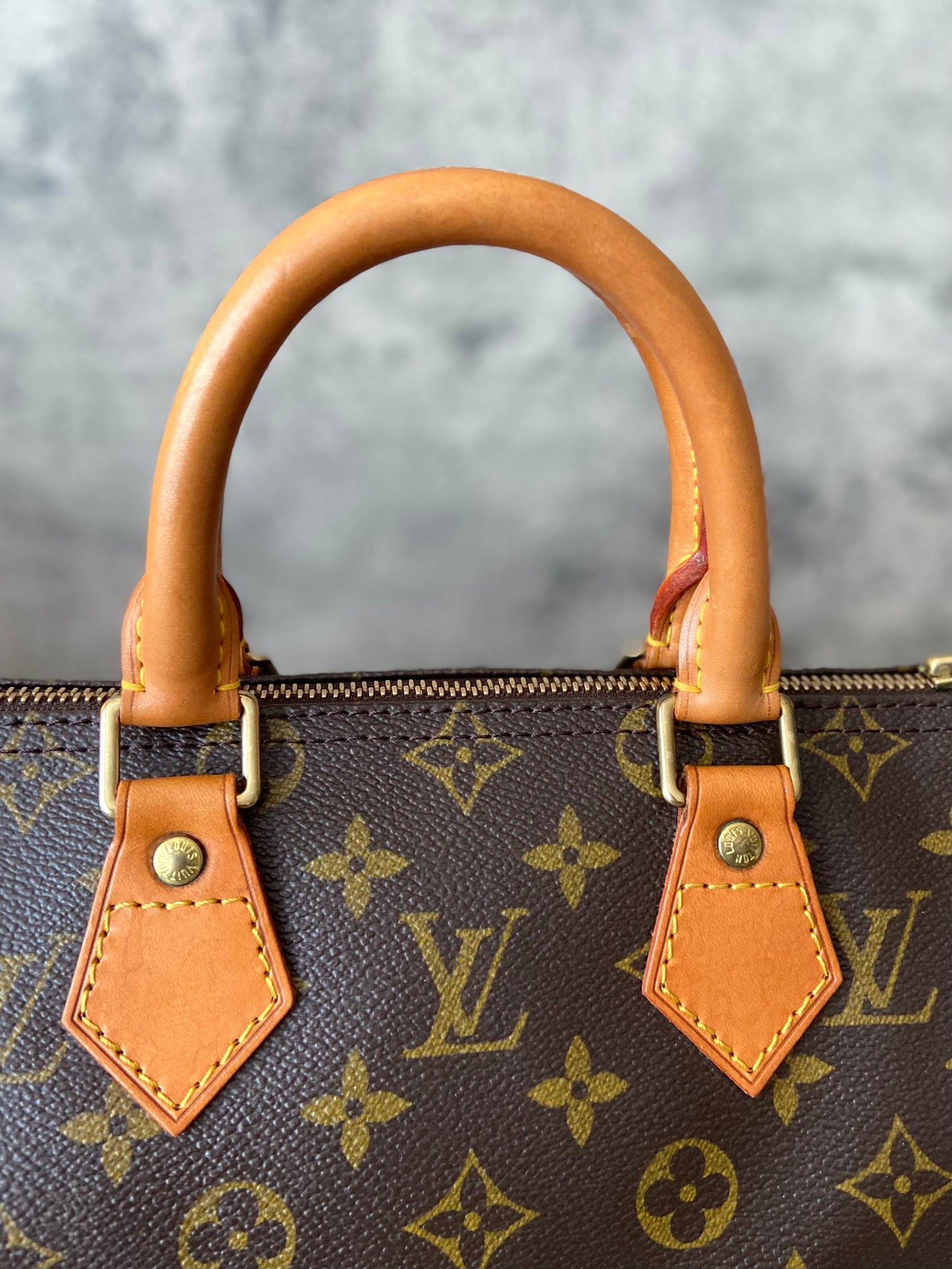 LV Speedy 25 Monogram