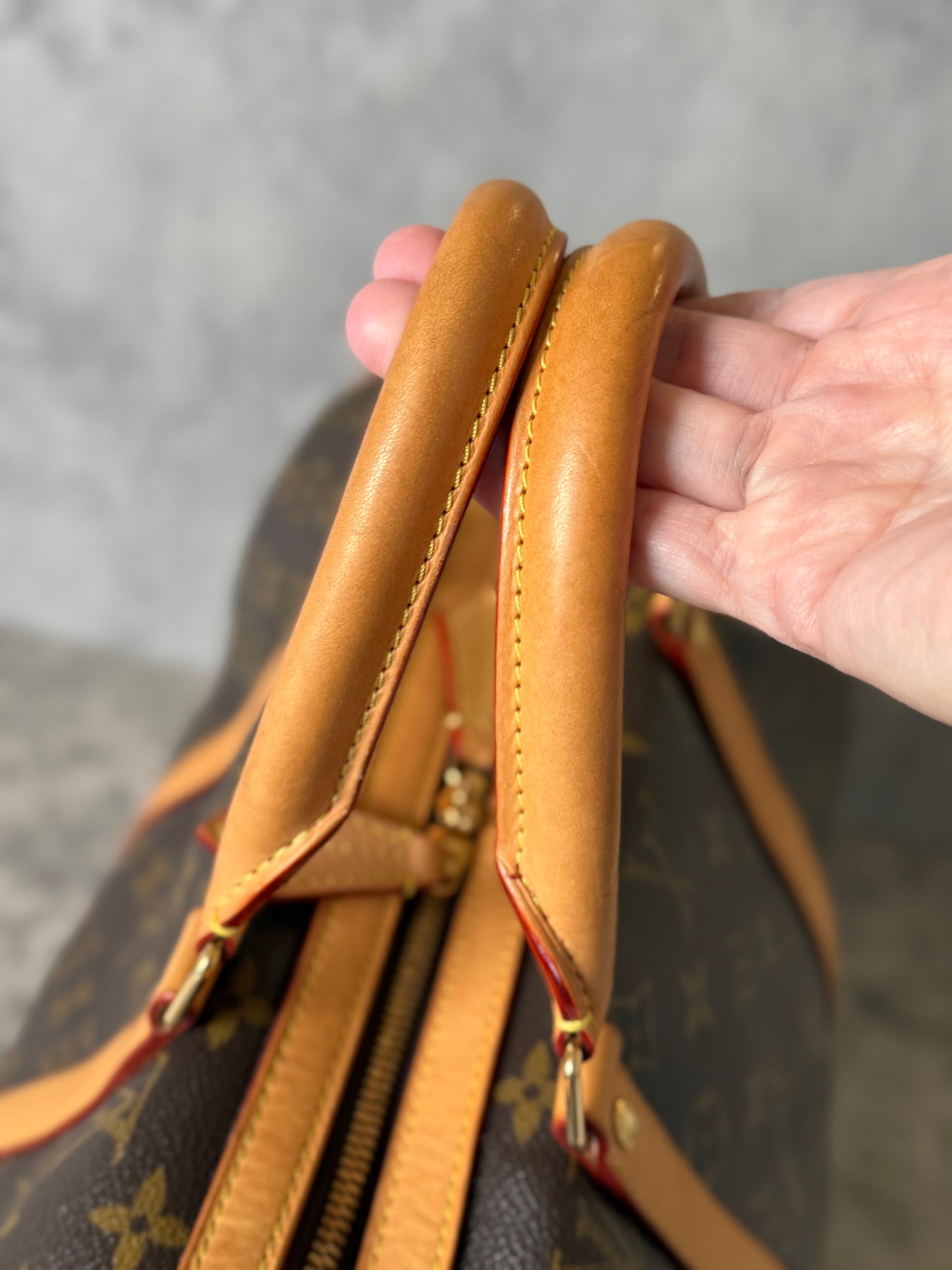 Louis Vuitton Sofia Coppola Speedy Limited Ed.