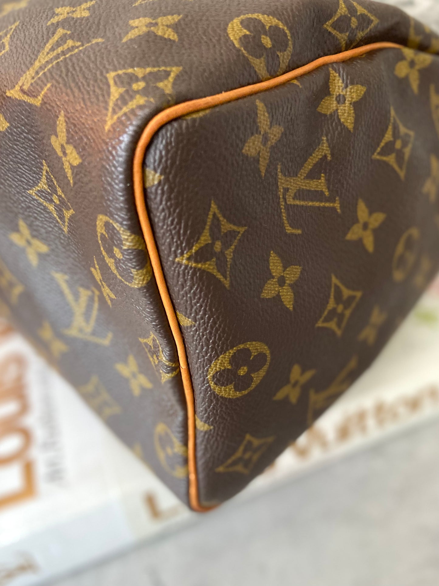 LV Speedy 25 Monogram
