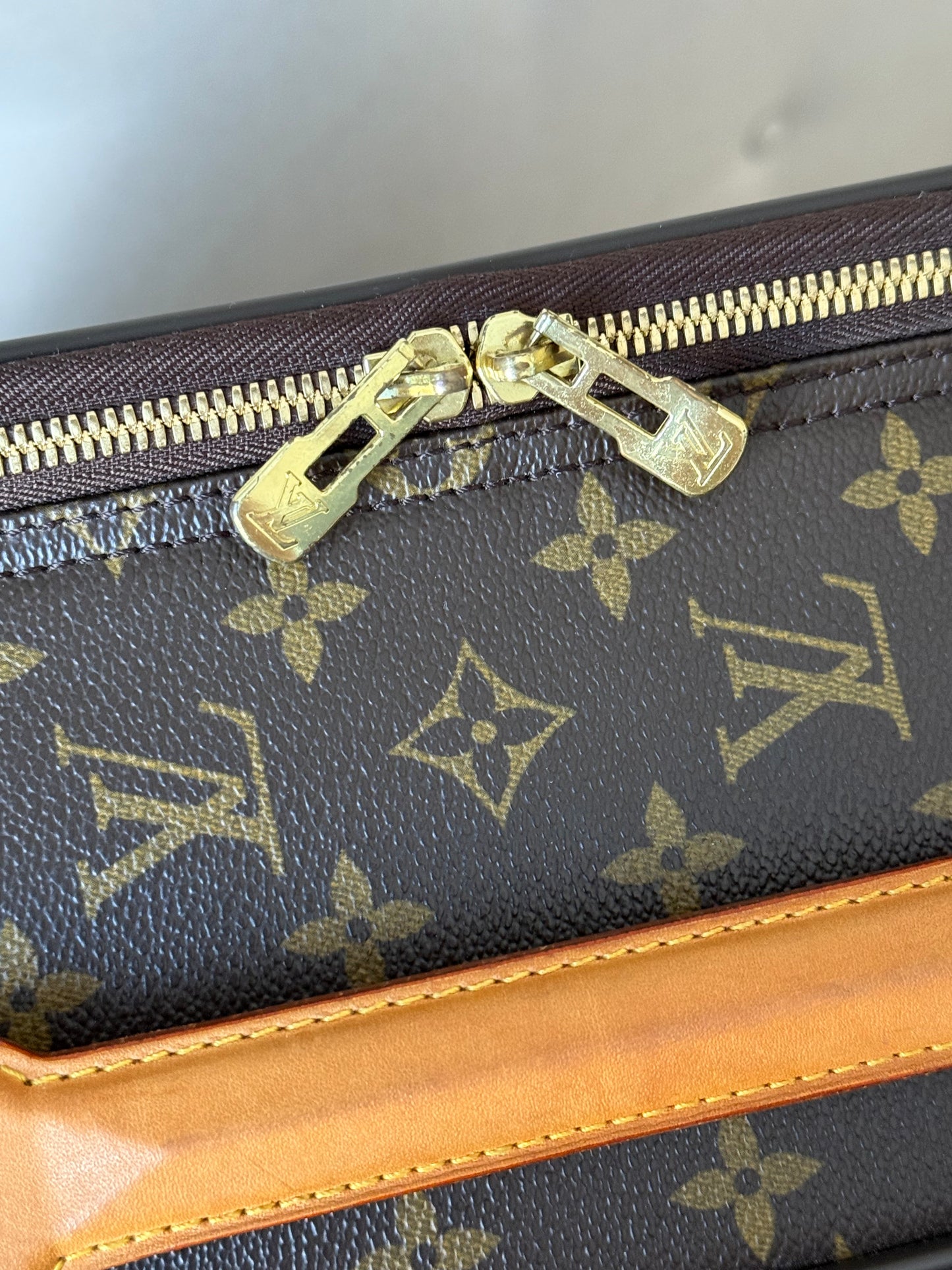 LV Pegase 55 Rolling Luggage