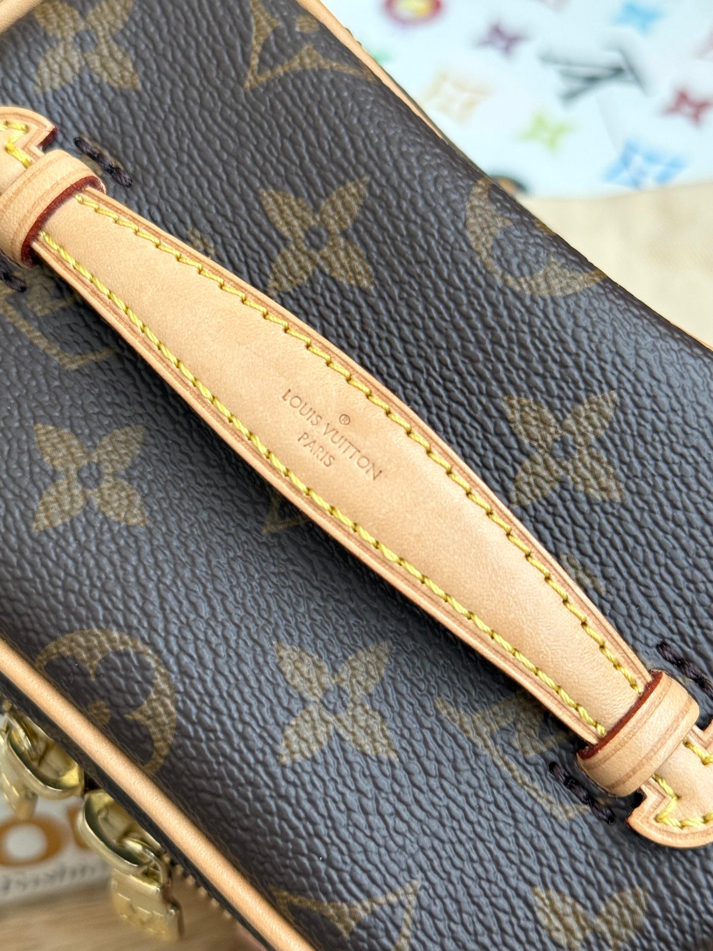 LV Nice Nano Case