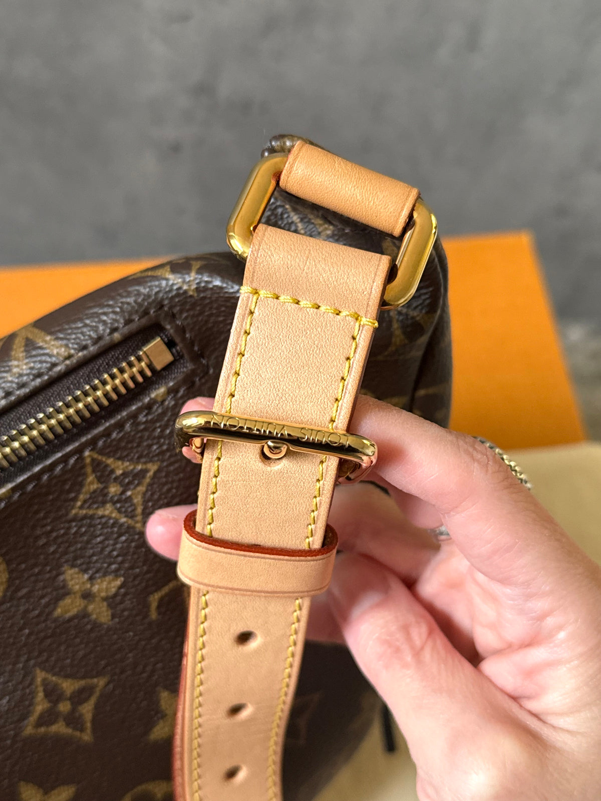 LV Bumbag MM monogram