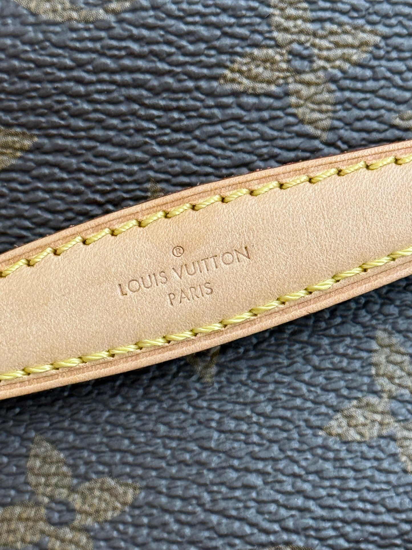 LV Nice Nano Case