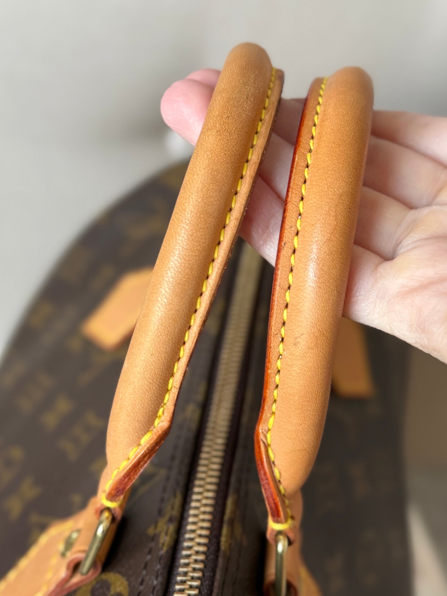 LV Speedy 30 Monogram