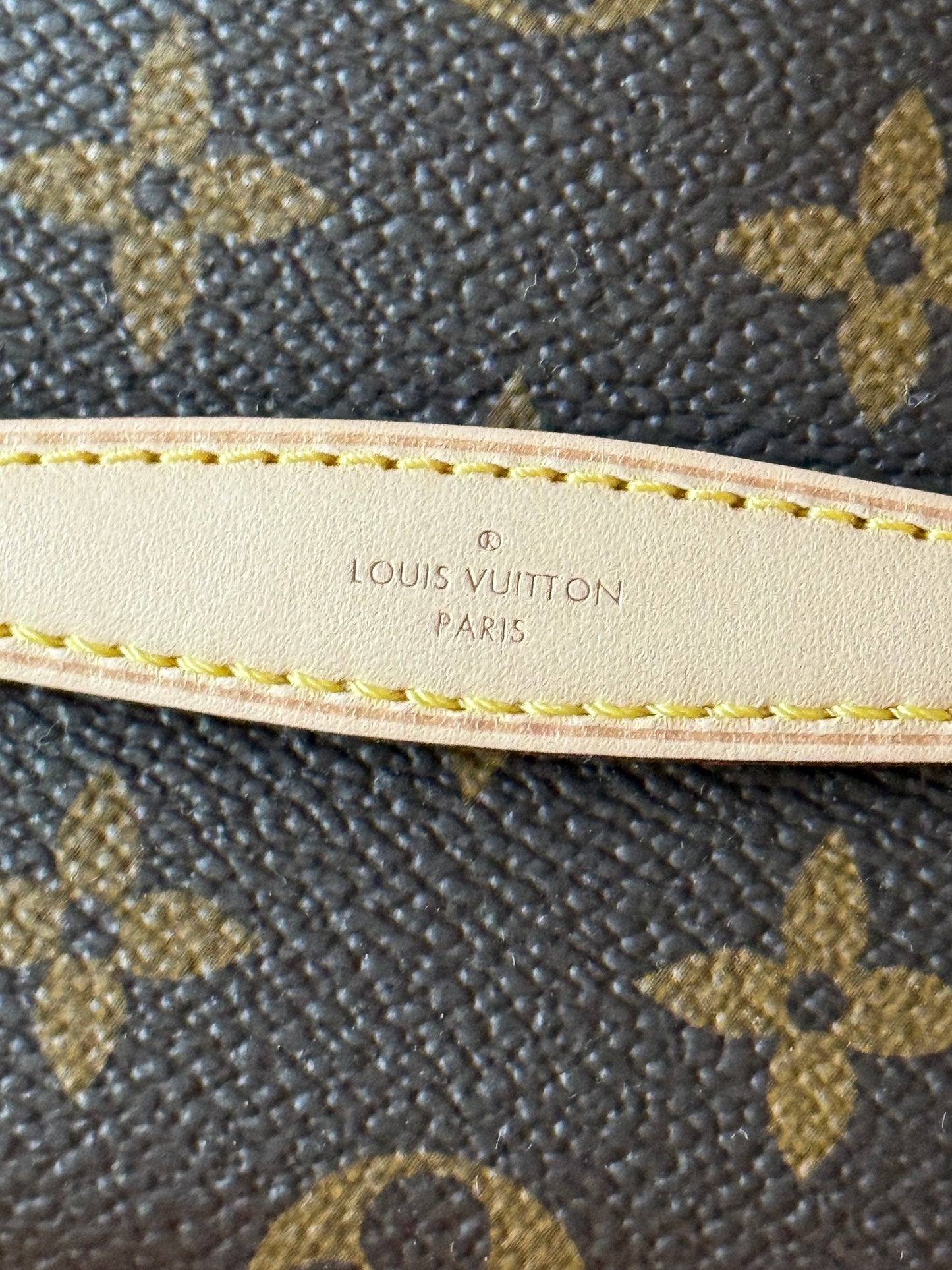 LV Nice Nano Monogram