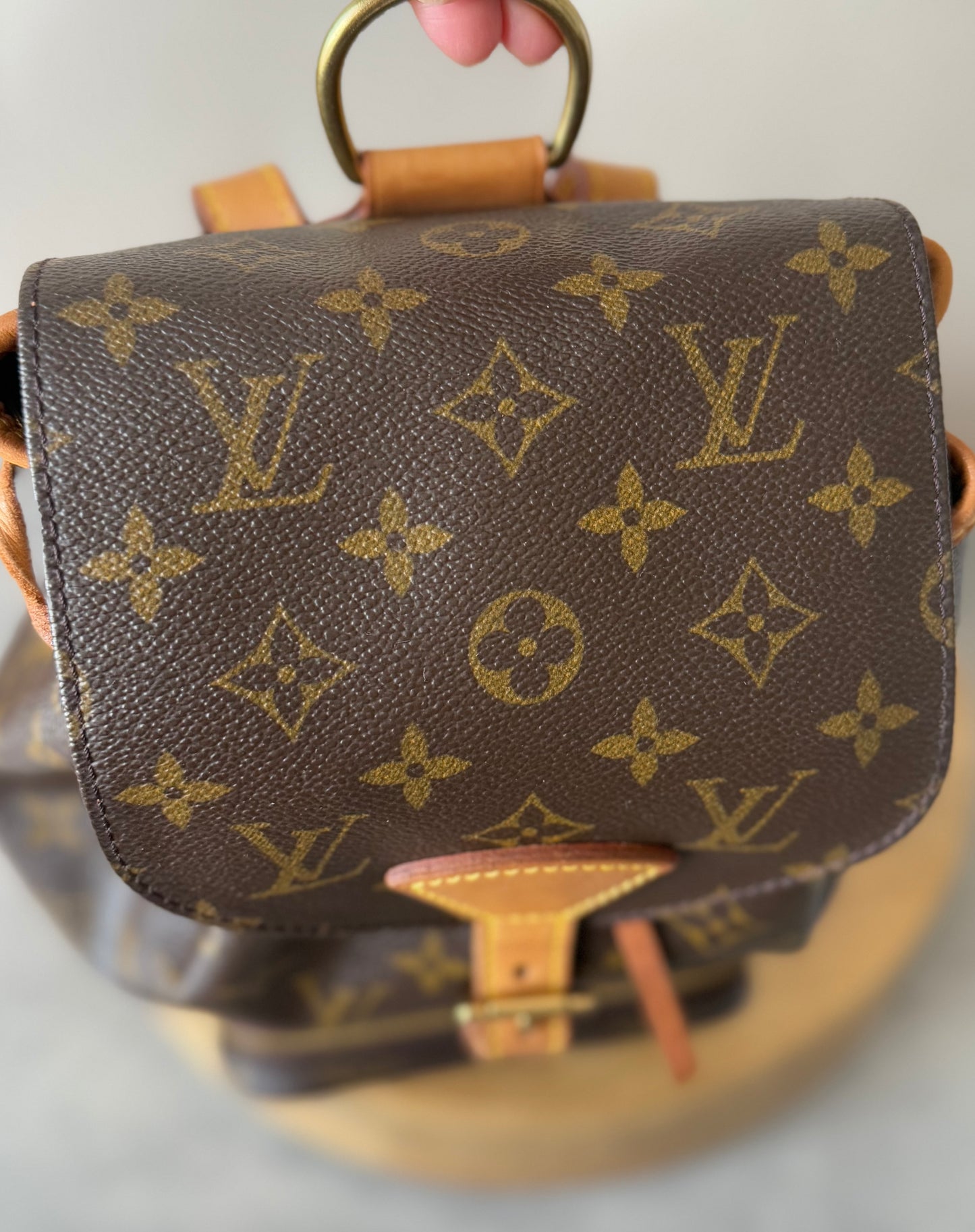 LV Montsouris MM Backpack