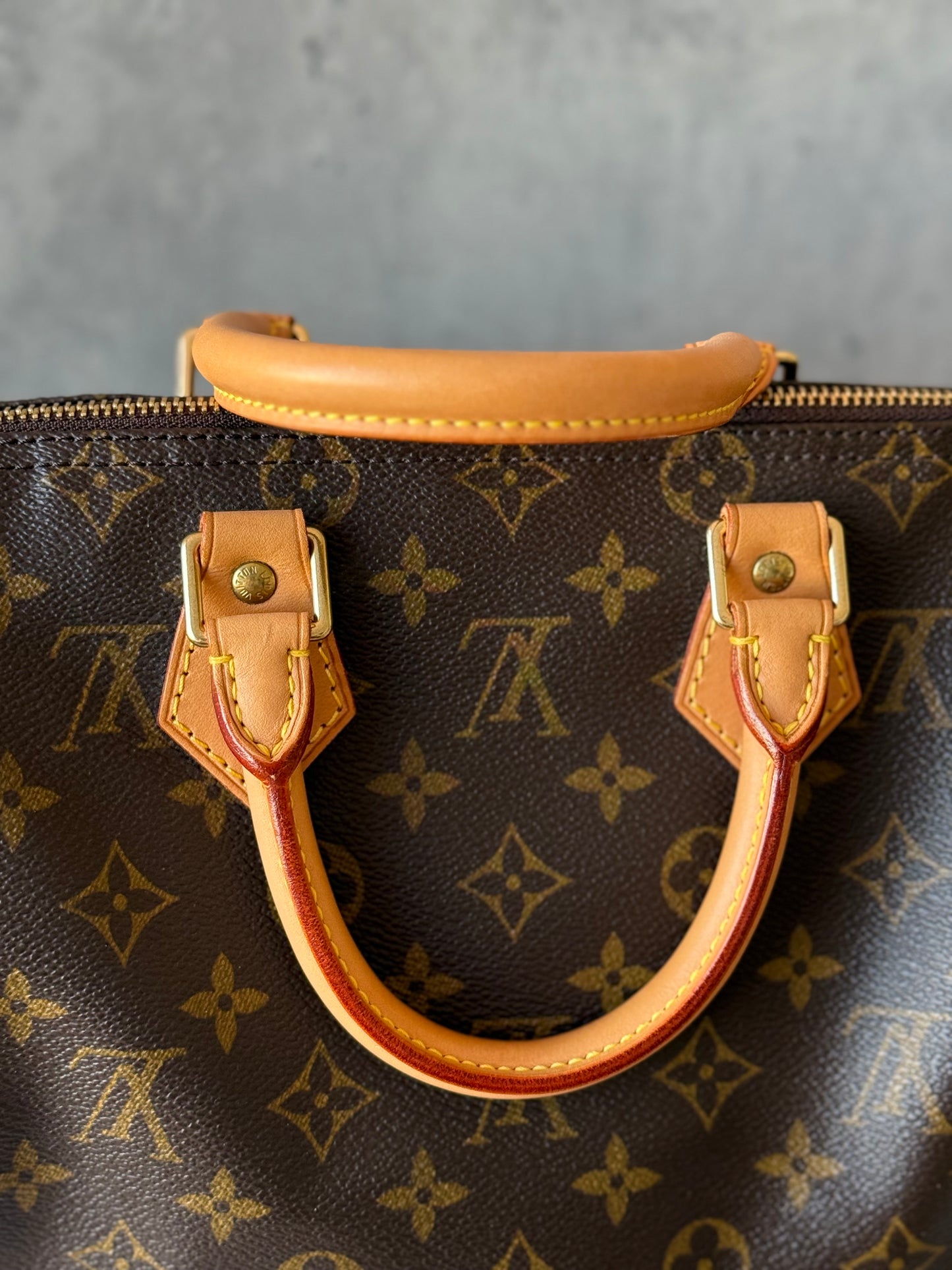 LV Speedy 25 Monogram