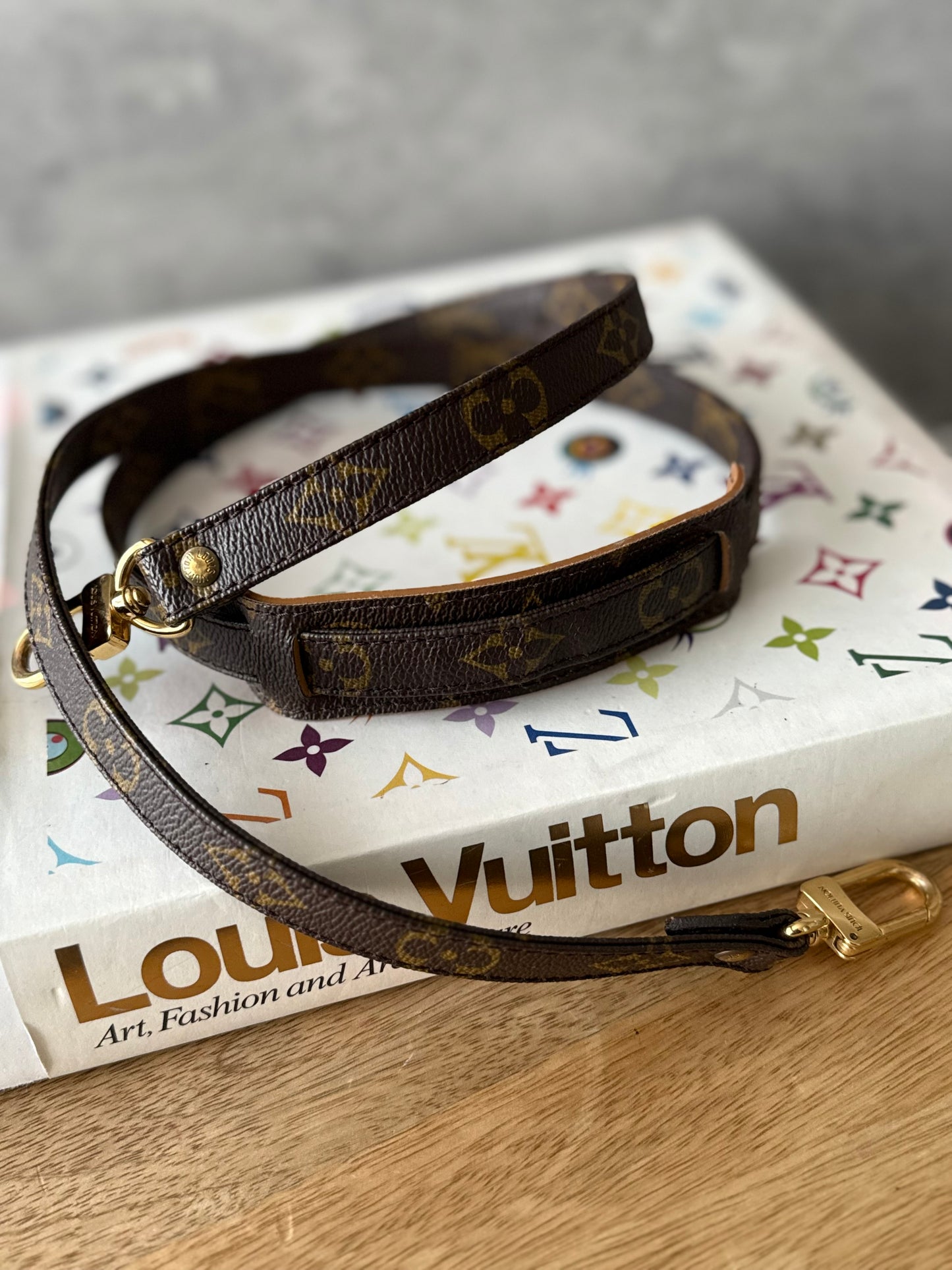 LV Monogram crossbody strap