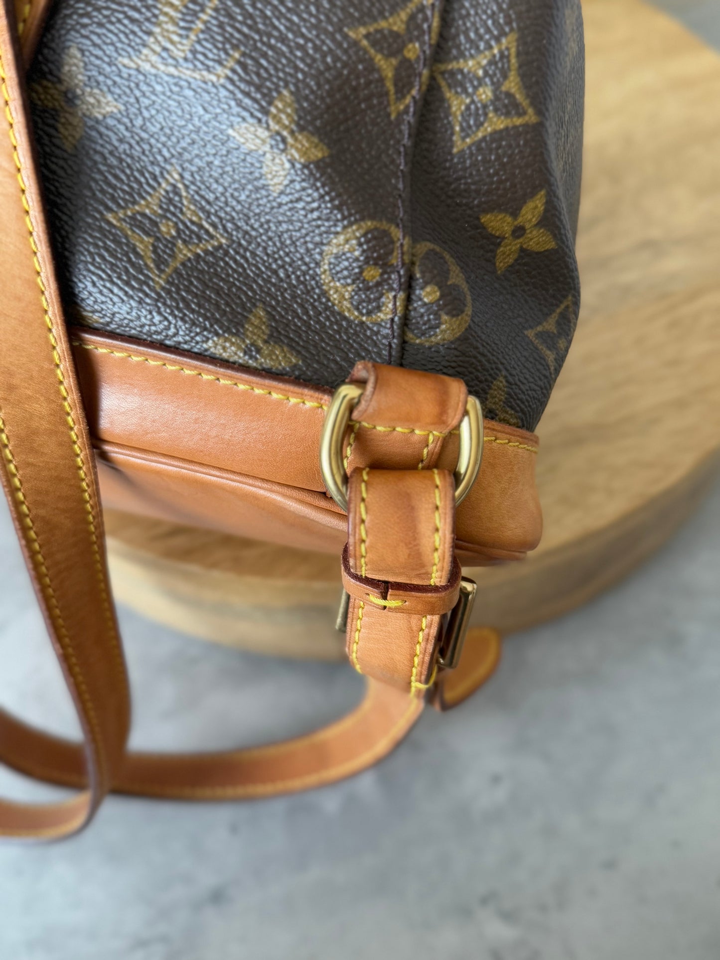 LV Montsouris MM Backpack