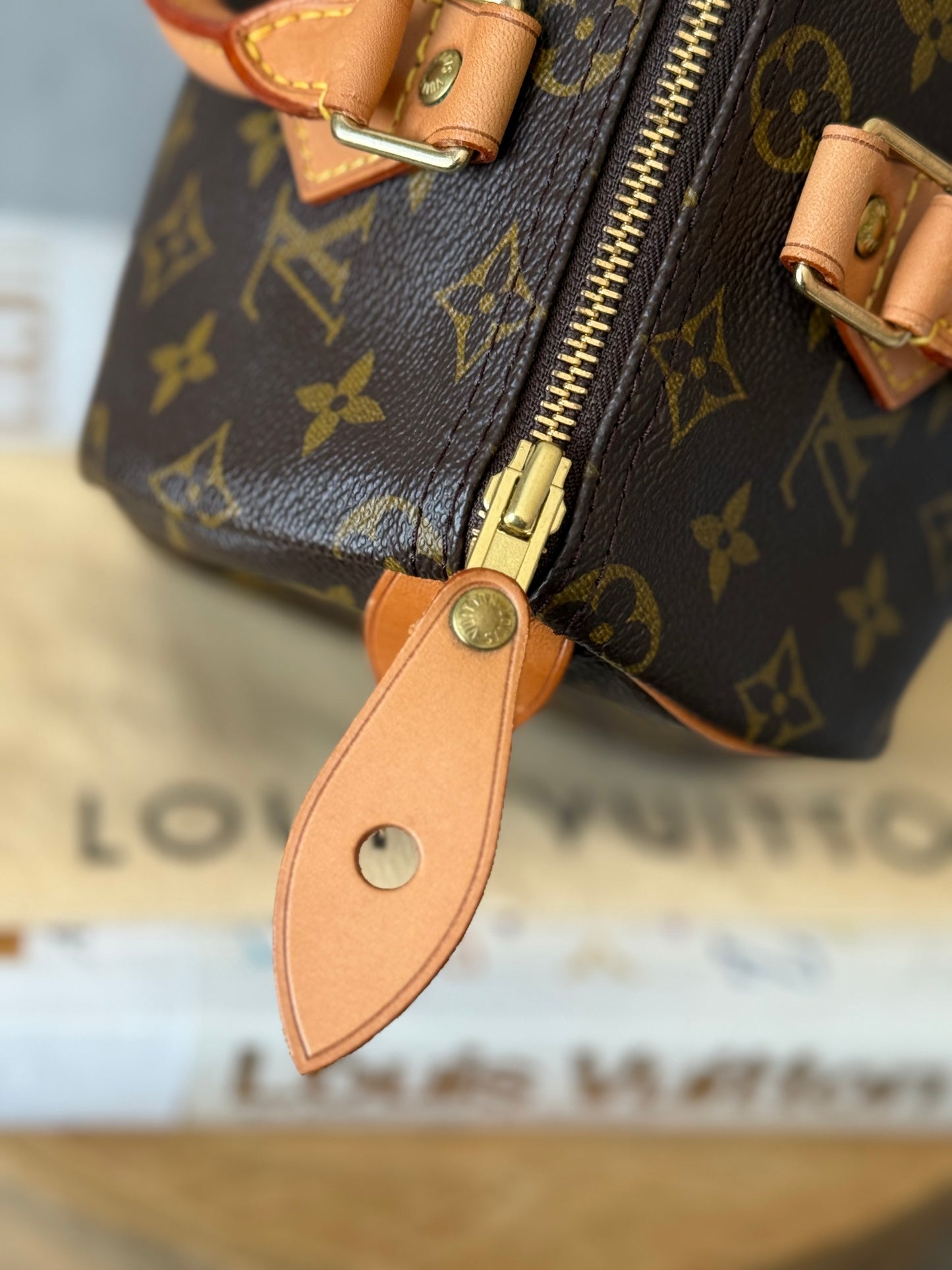 LV Speedy 25 Monogram