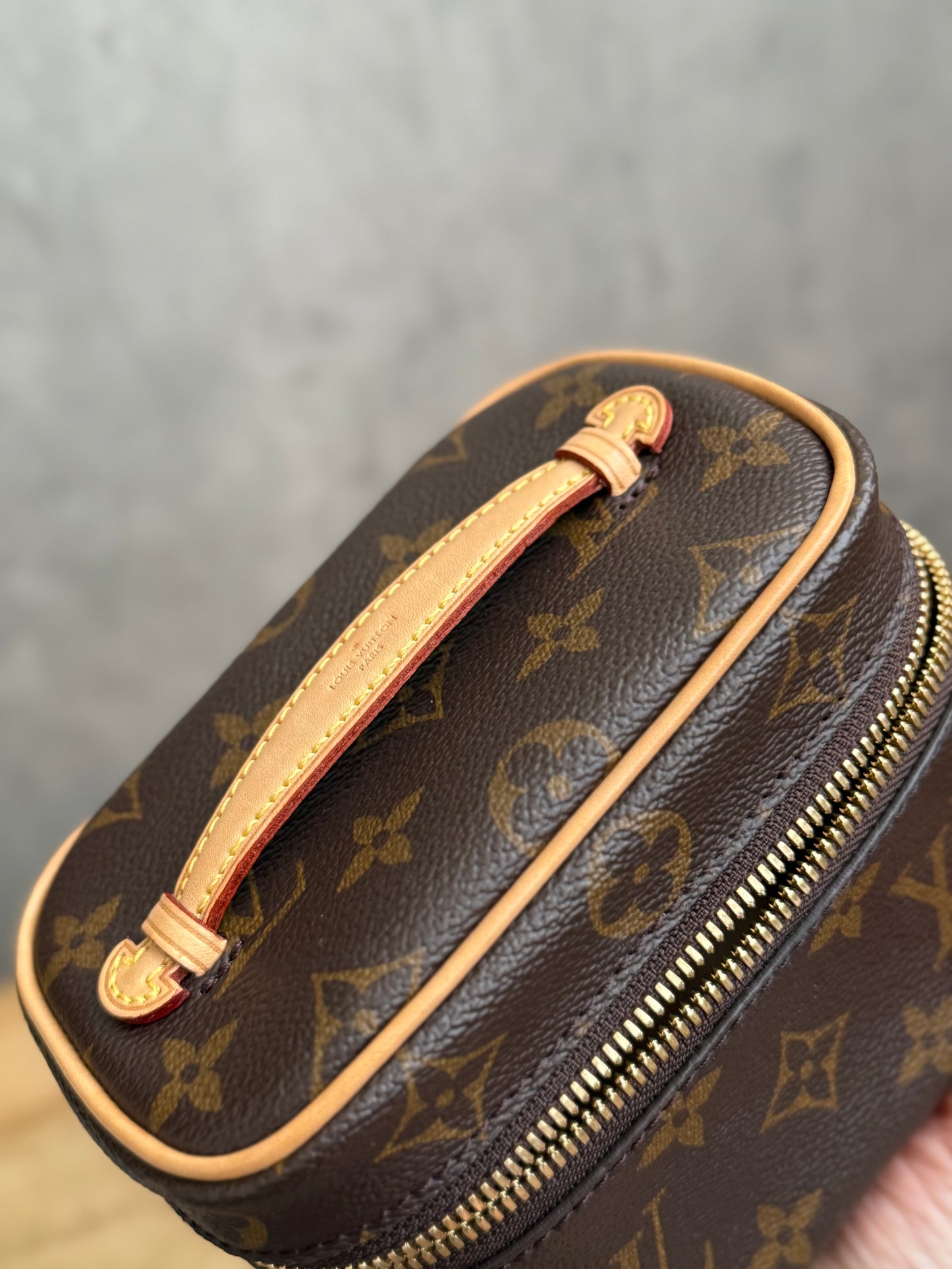 LV Nice Nano Case