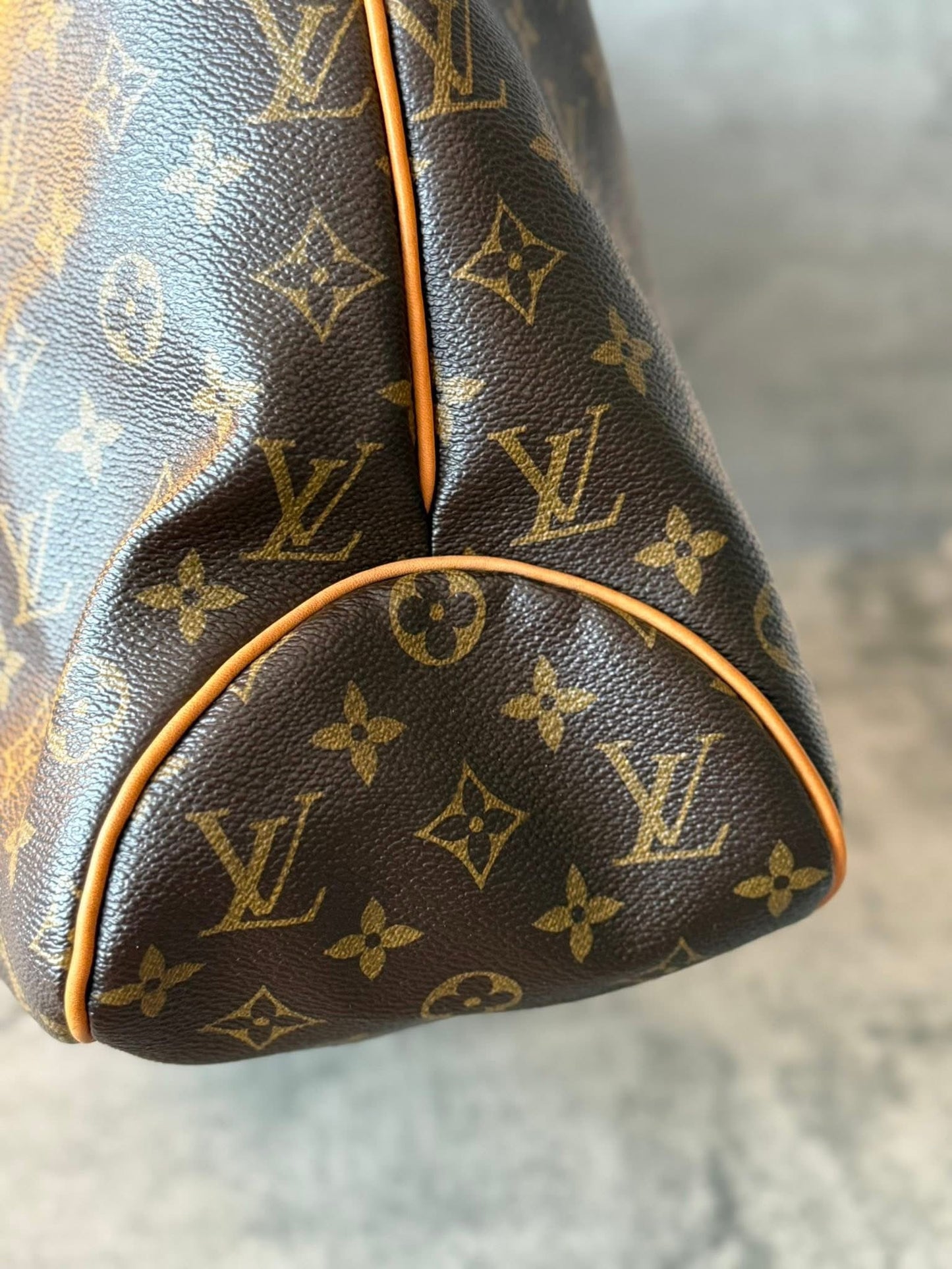 LV Delightful MM Old model